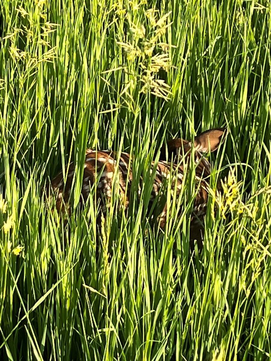 24008 East 205th Street Property Photo 2