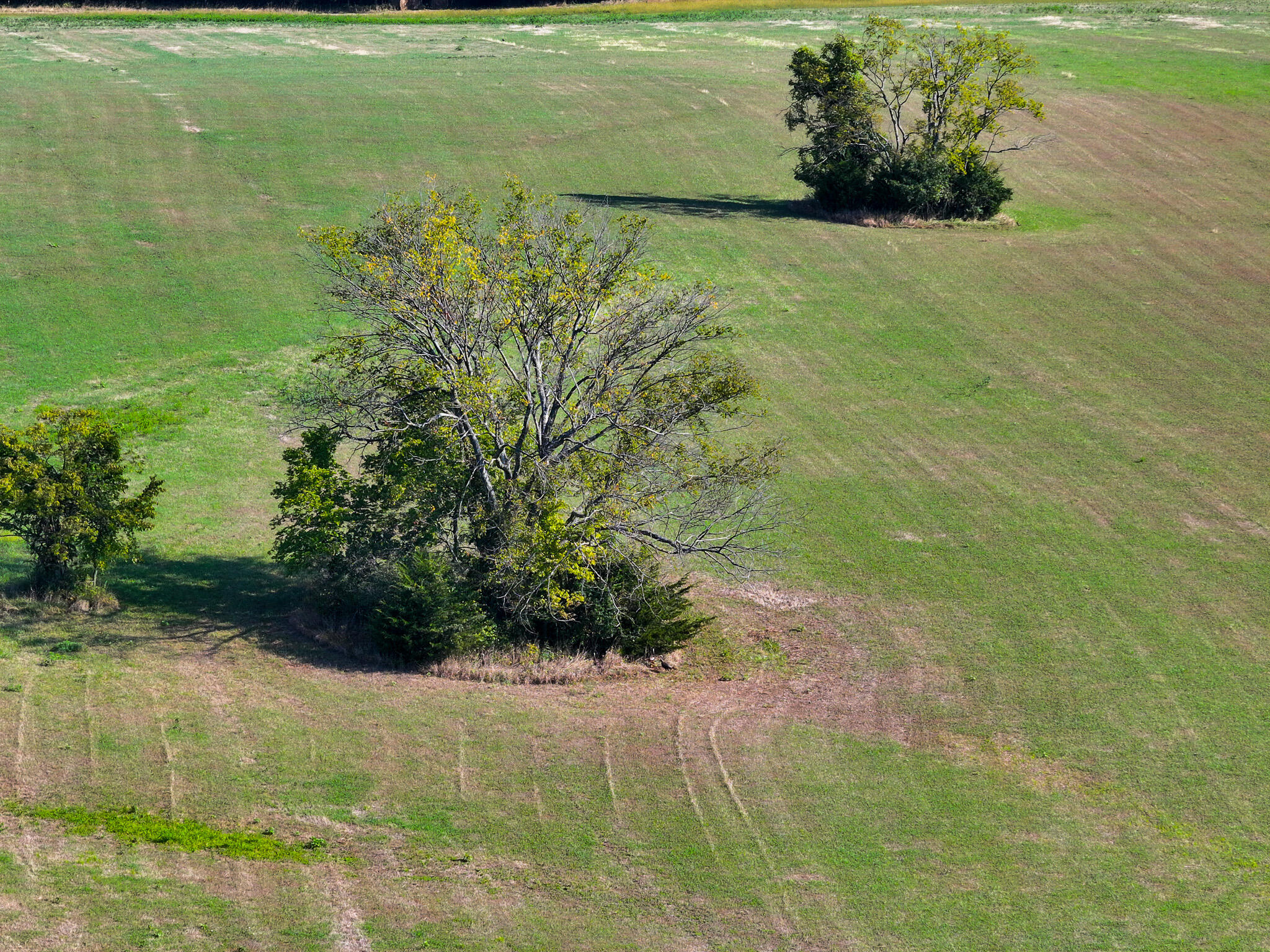 24008 East 205th Street Property Photo 3