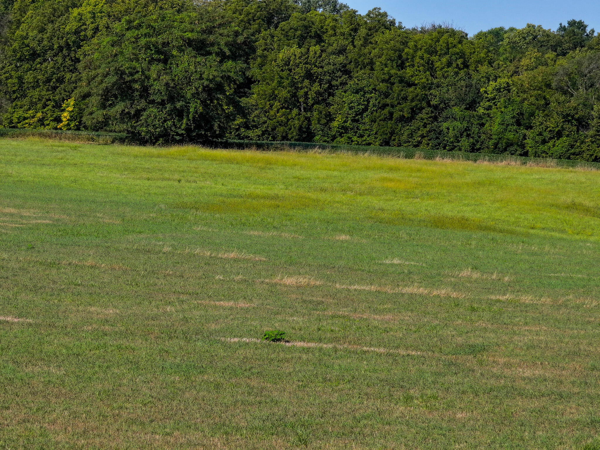 24008 East 205th Street Property Photo 12