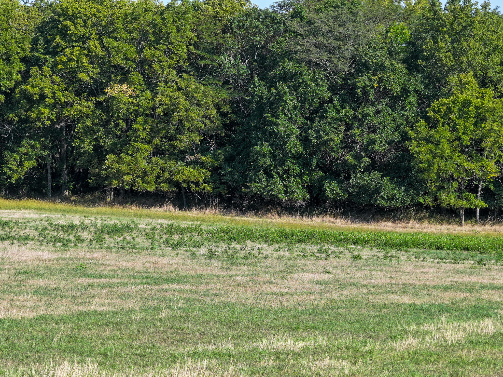 24008 East 205th Street Property Photo 13