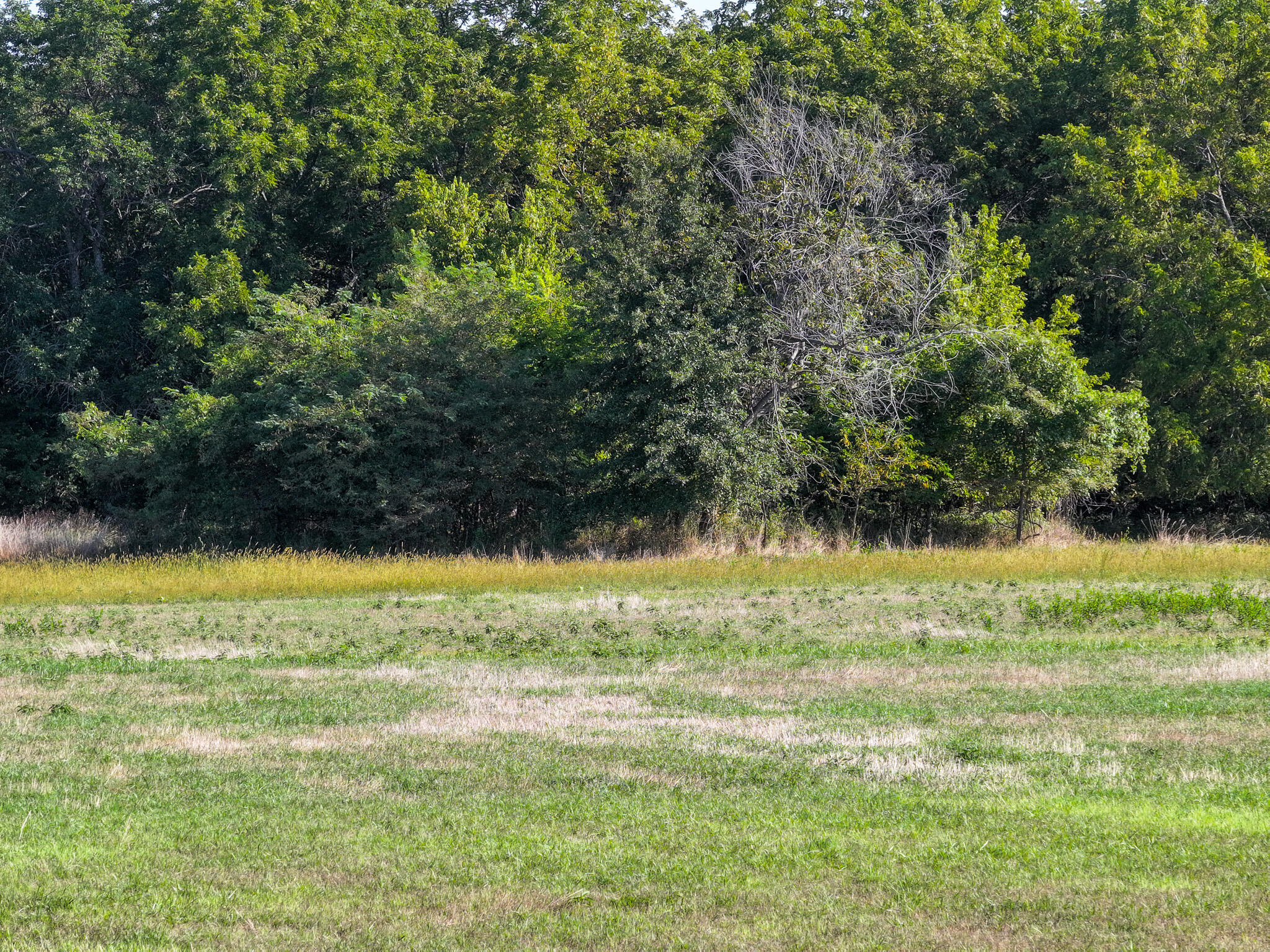 24008 East 205th Street Property Photo 14