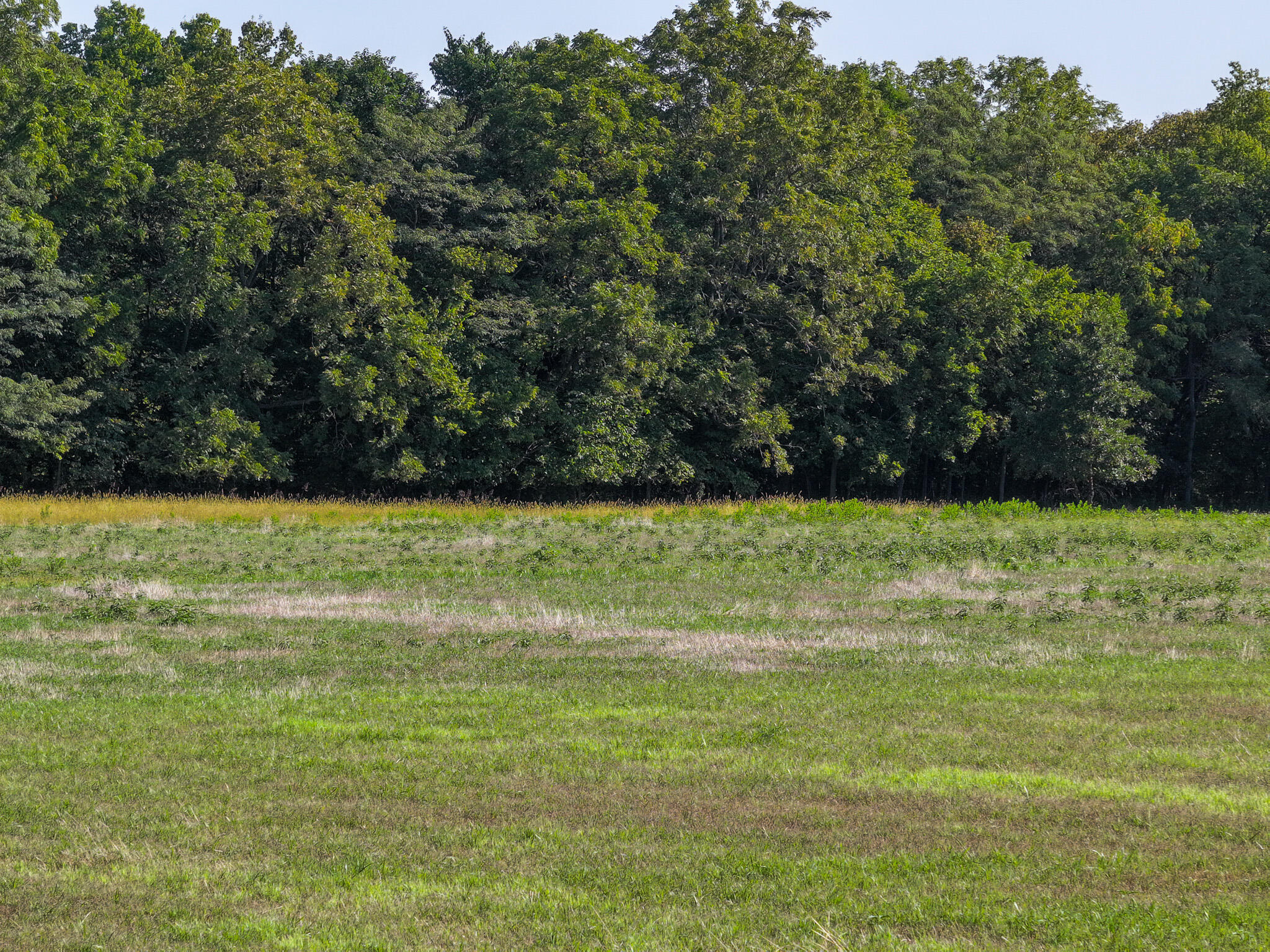 24008 East 205th Street Property Photo 15