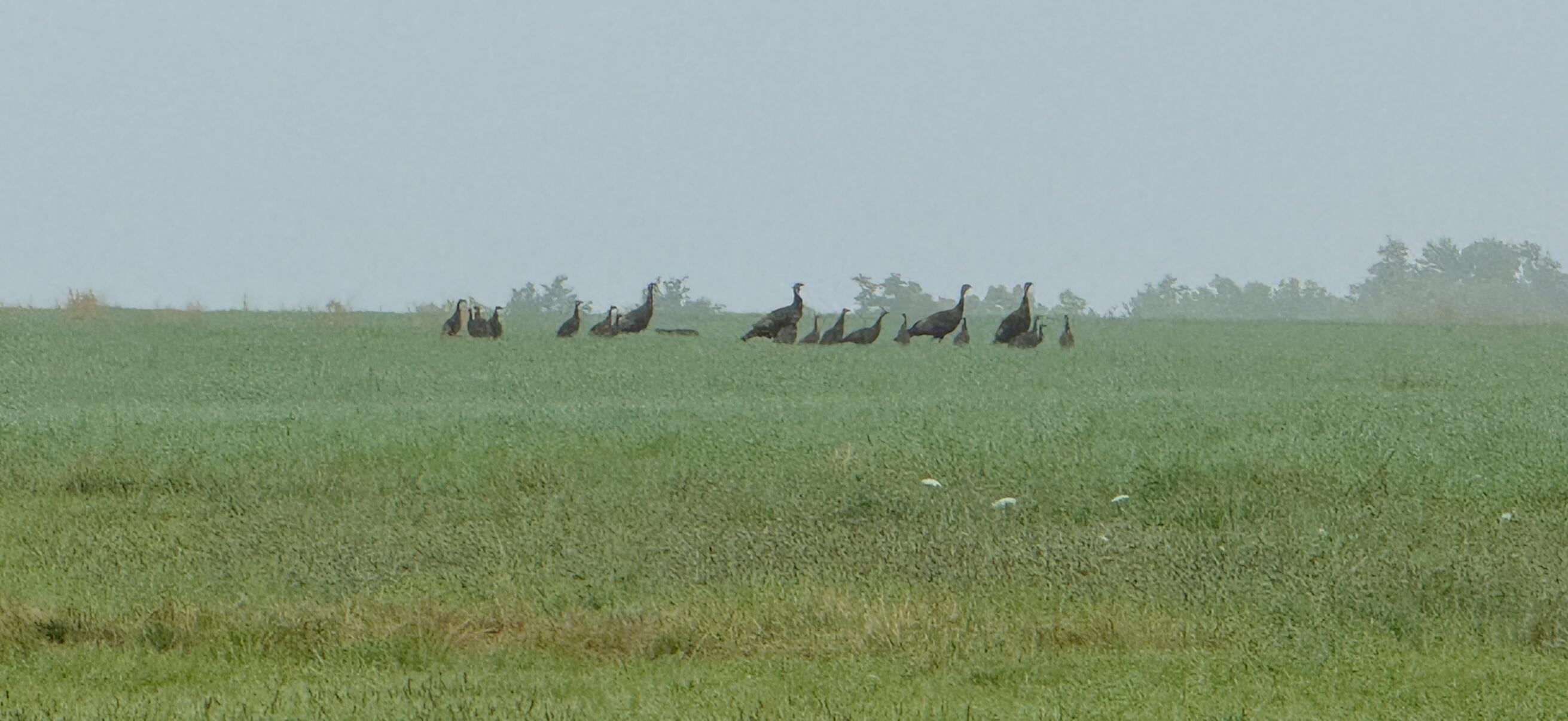 24008 East 205th Street Property Photo 29