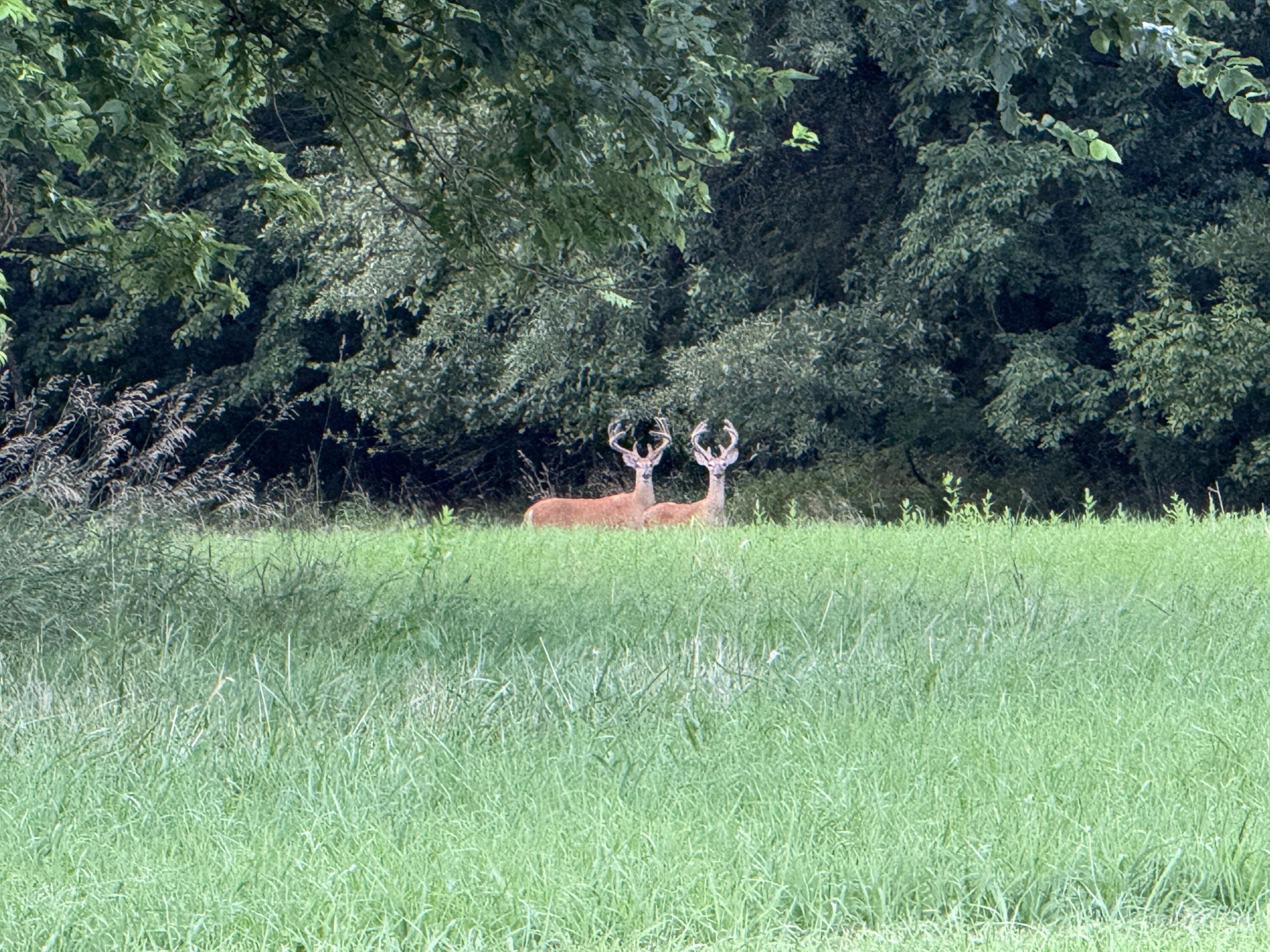 24008 East 205th Street Property Photo 32