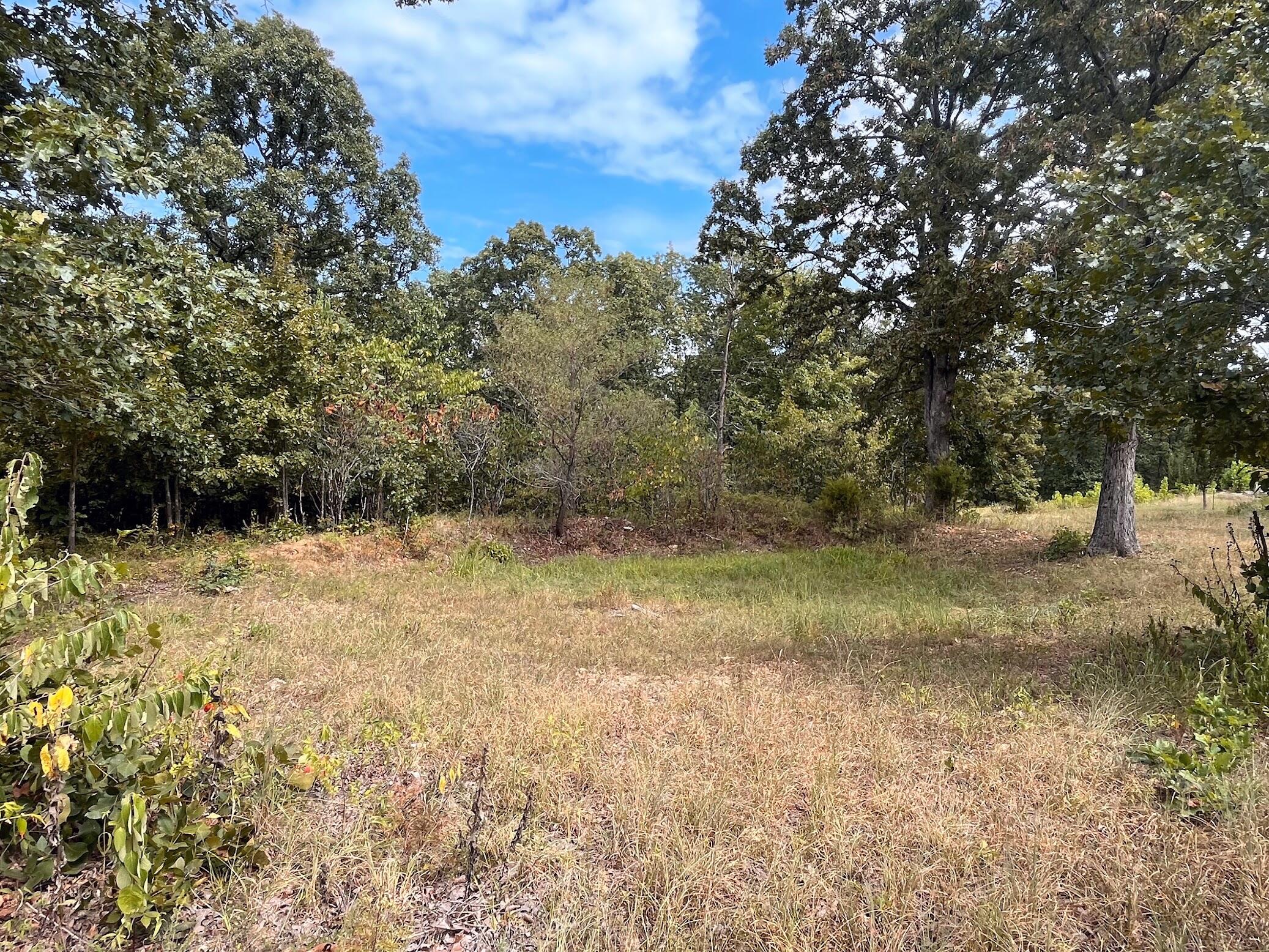 11 Wilderness Trail Property Photo 2