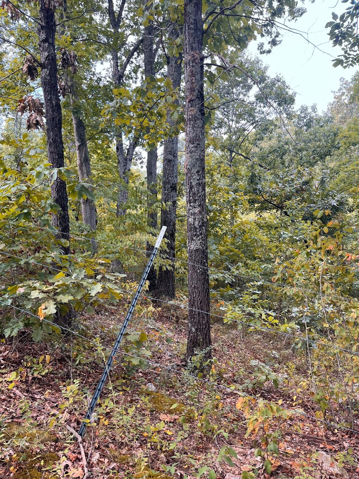 11 Wilderness Trail Property Photo 16