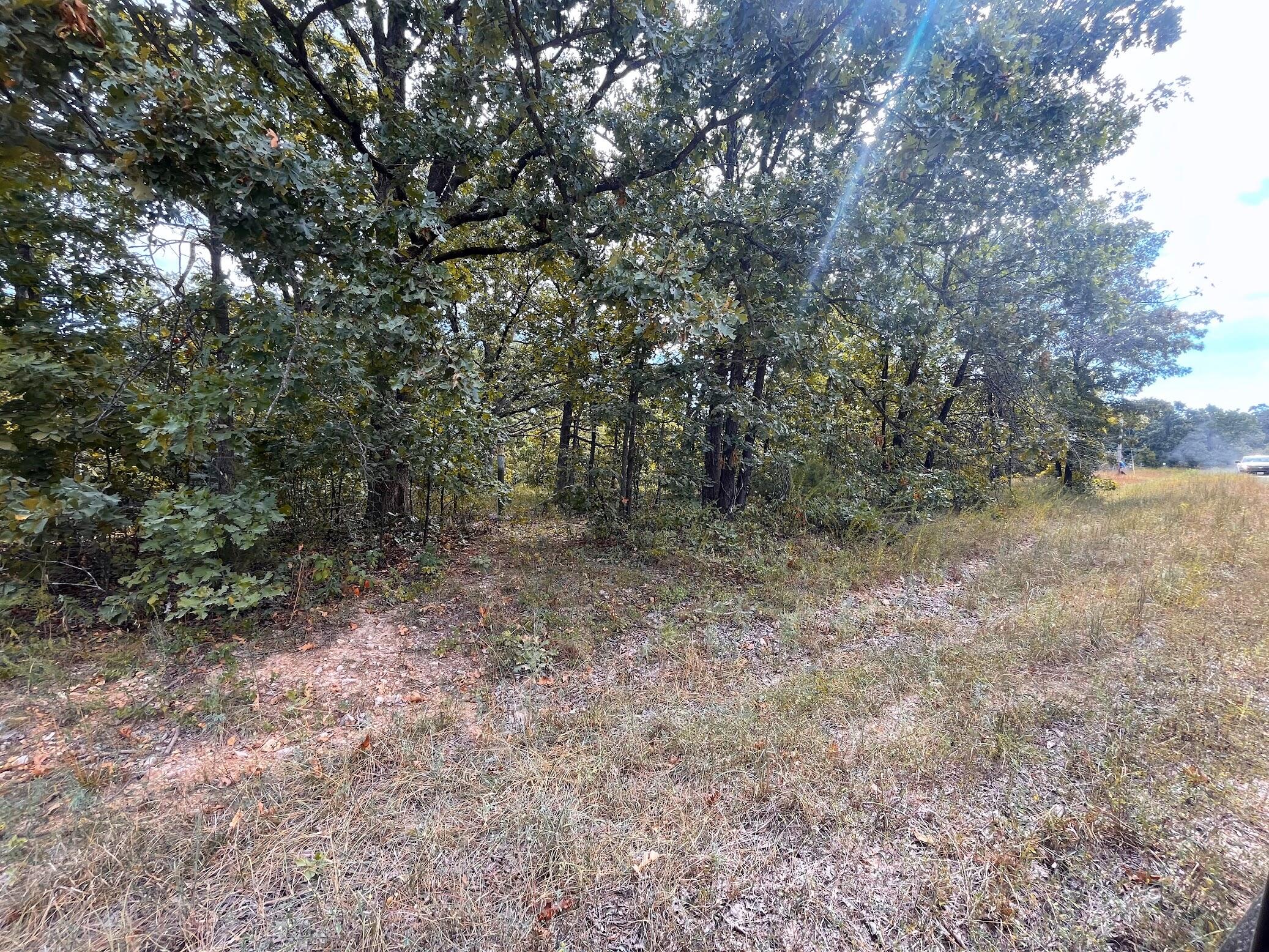11 Wilderness Trail Property Photo 21