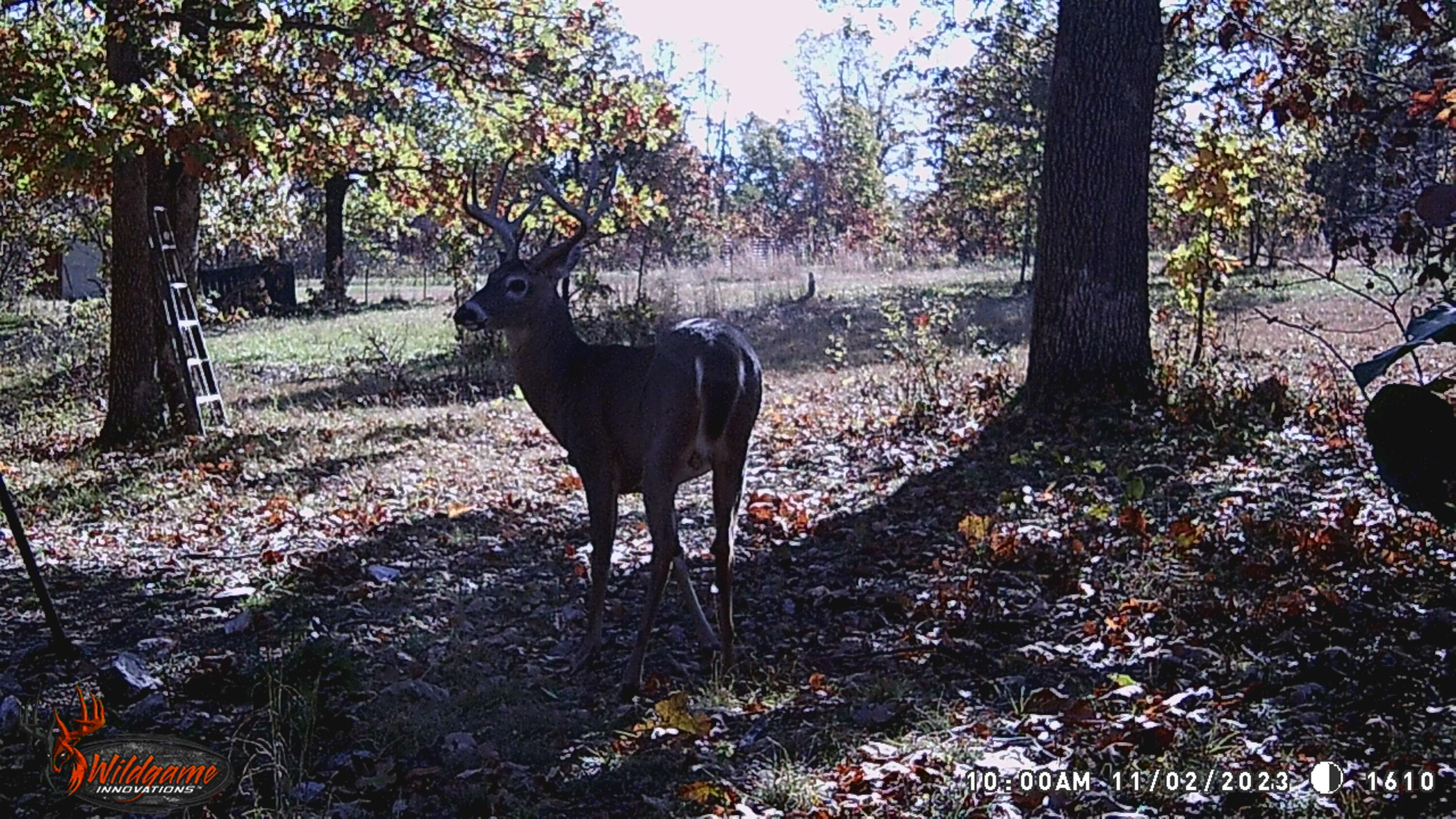 11 Wilderness Trail Property Photo 24