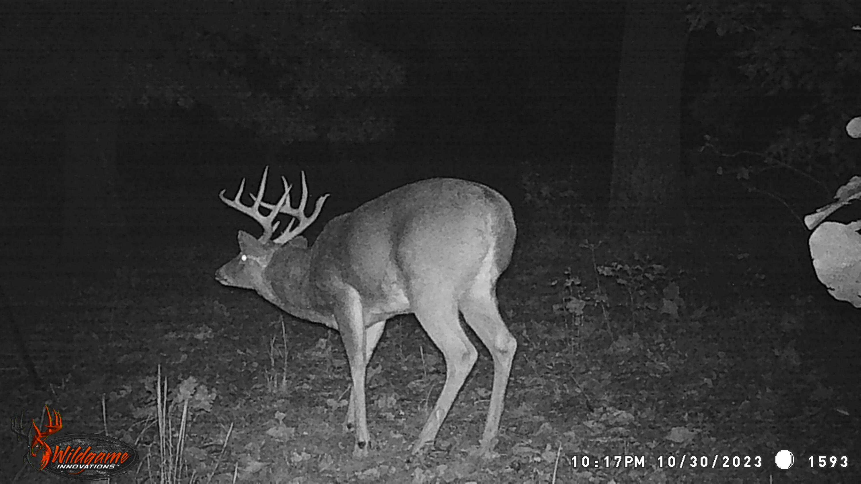 11 Wilderness Trail Property Photo 25