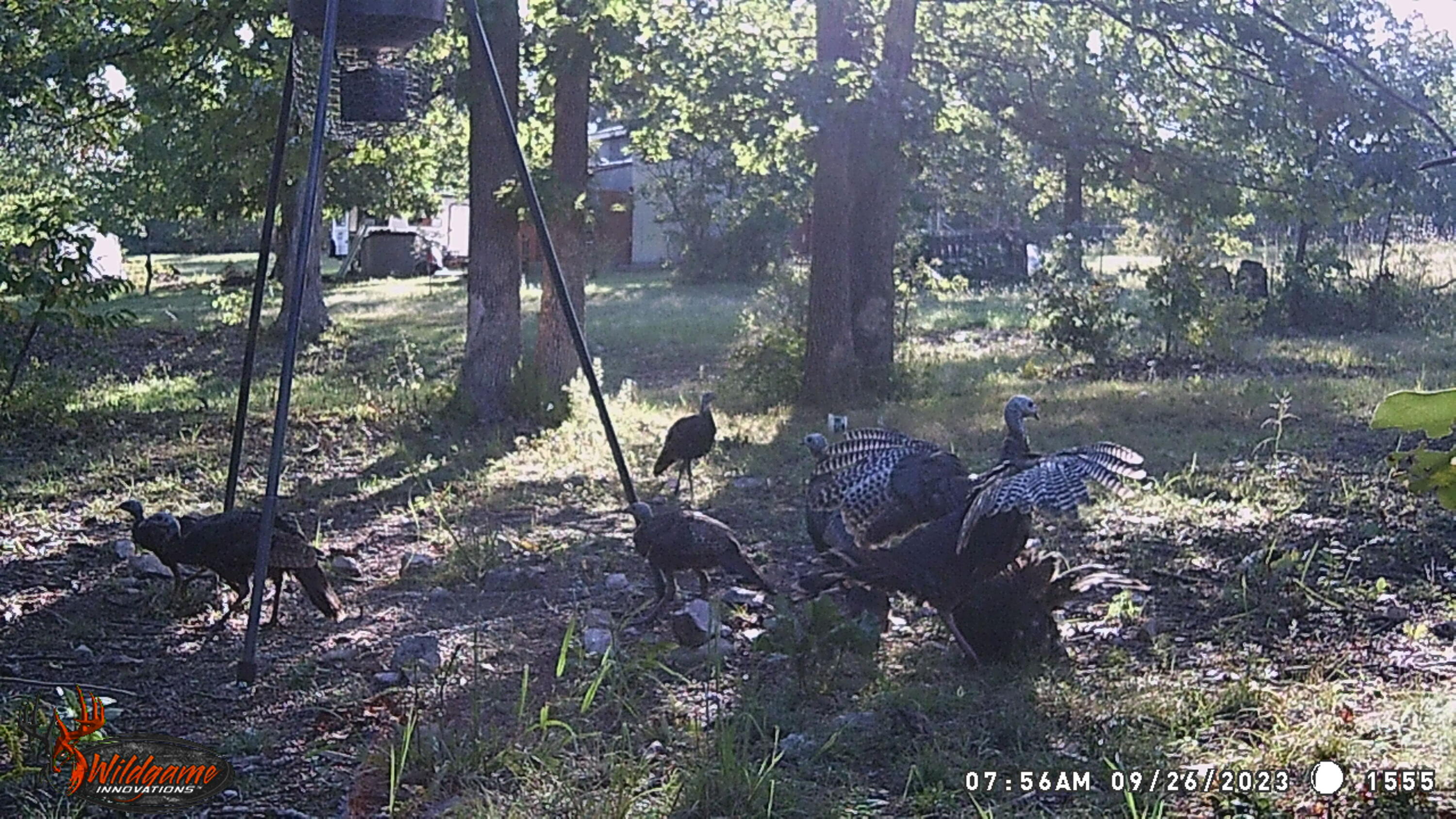 11 Wilderness Trail Property Photo 26