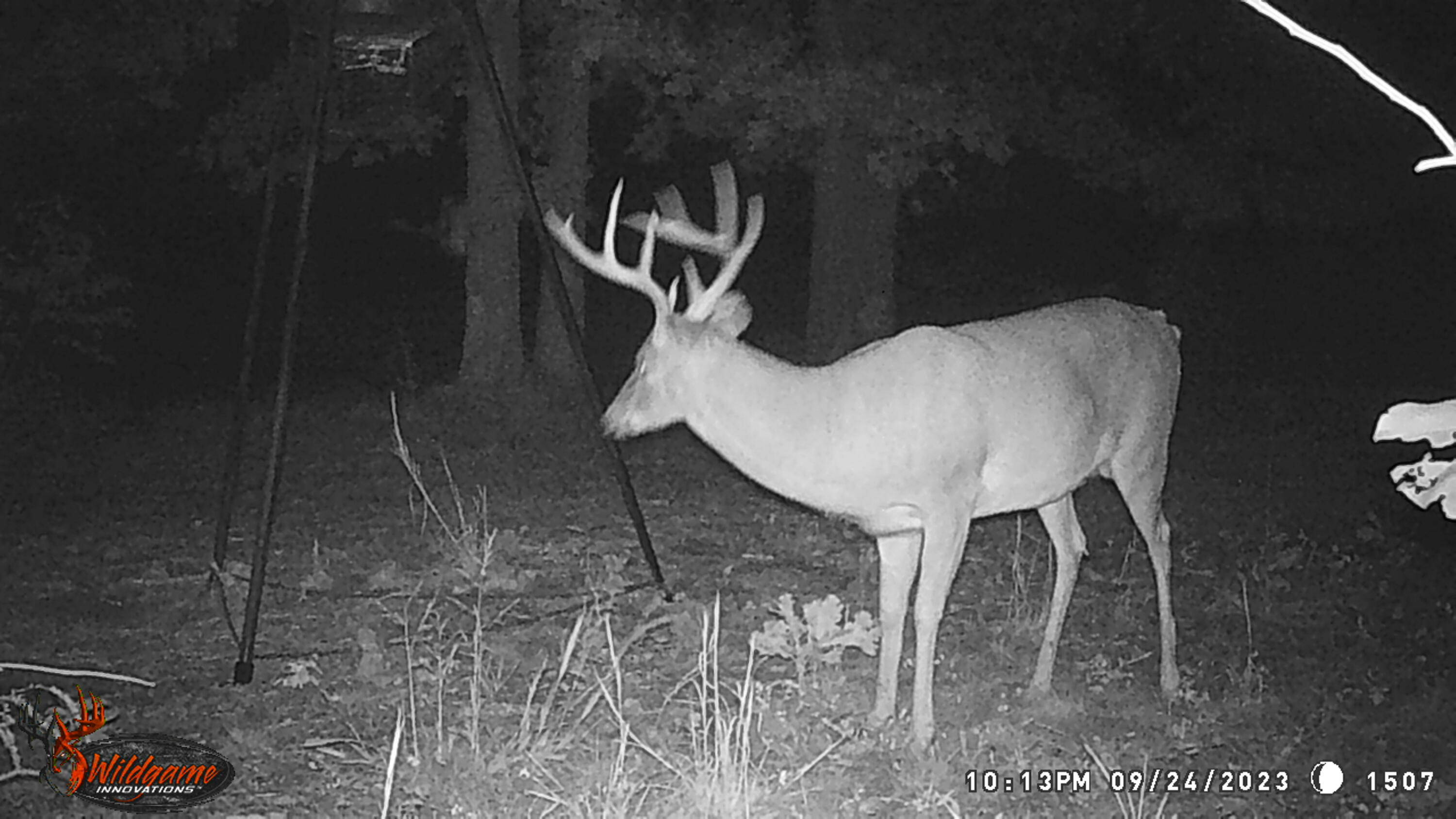 11 Wilderness Trail Property Photo 27