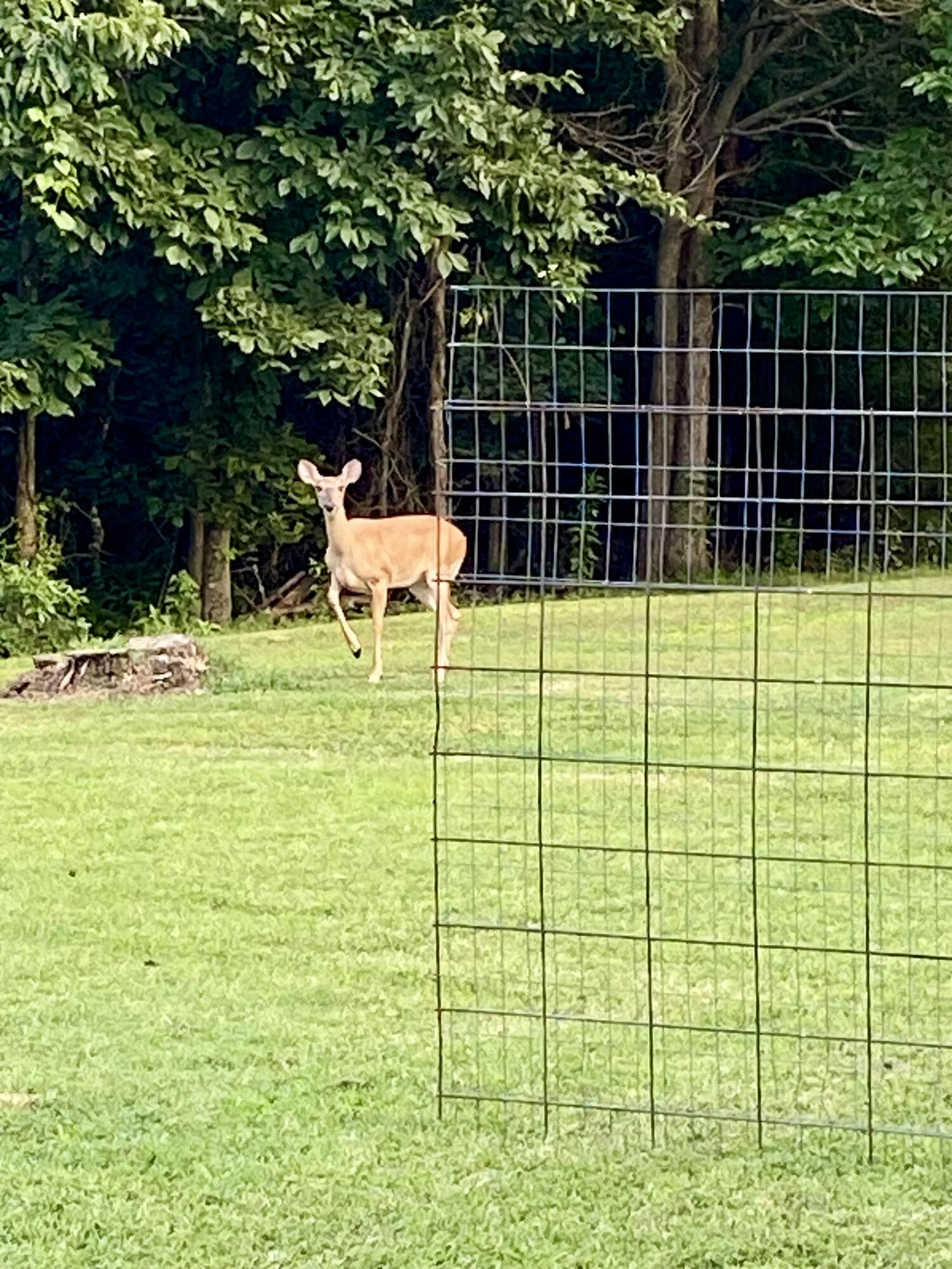 3706 Private Road 2217 Property Photo 30