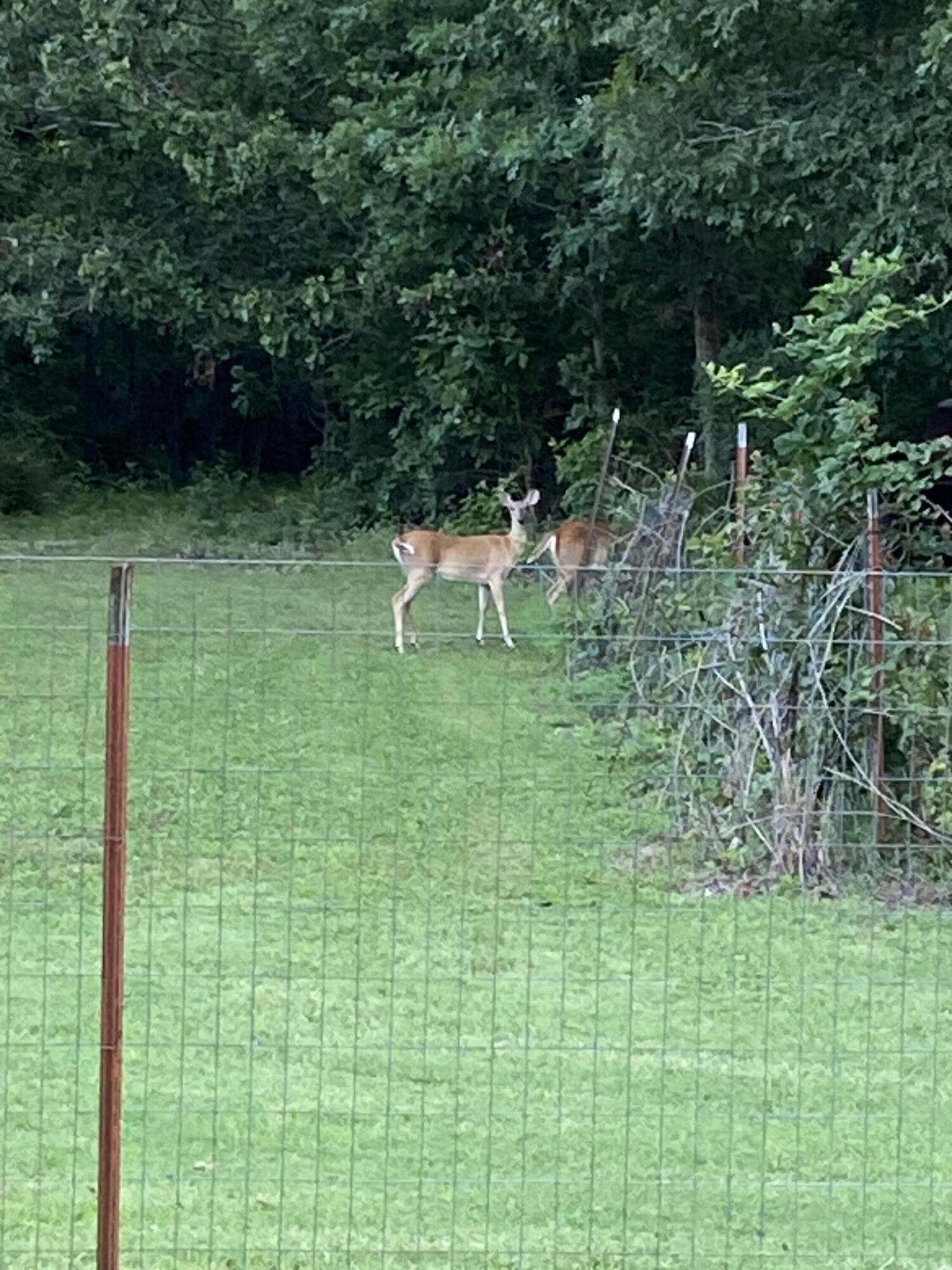 3706 Private Road 2217 Property Photo 31