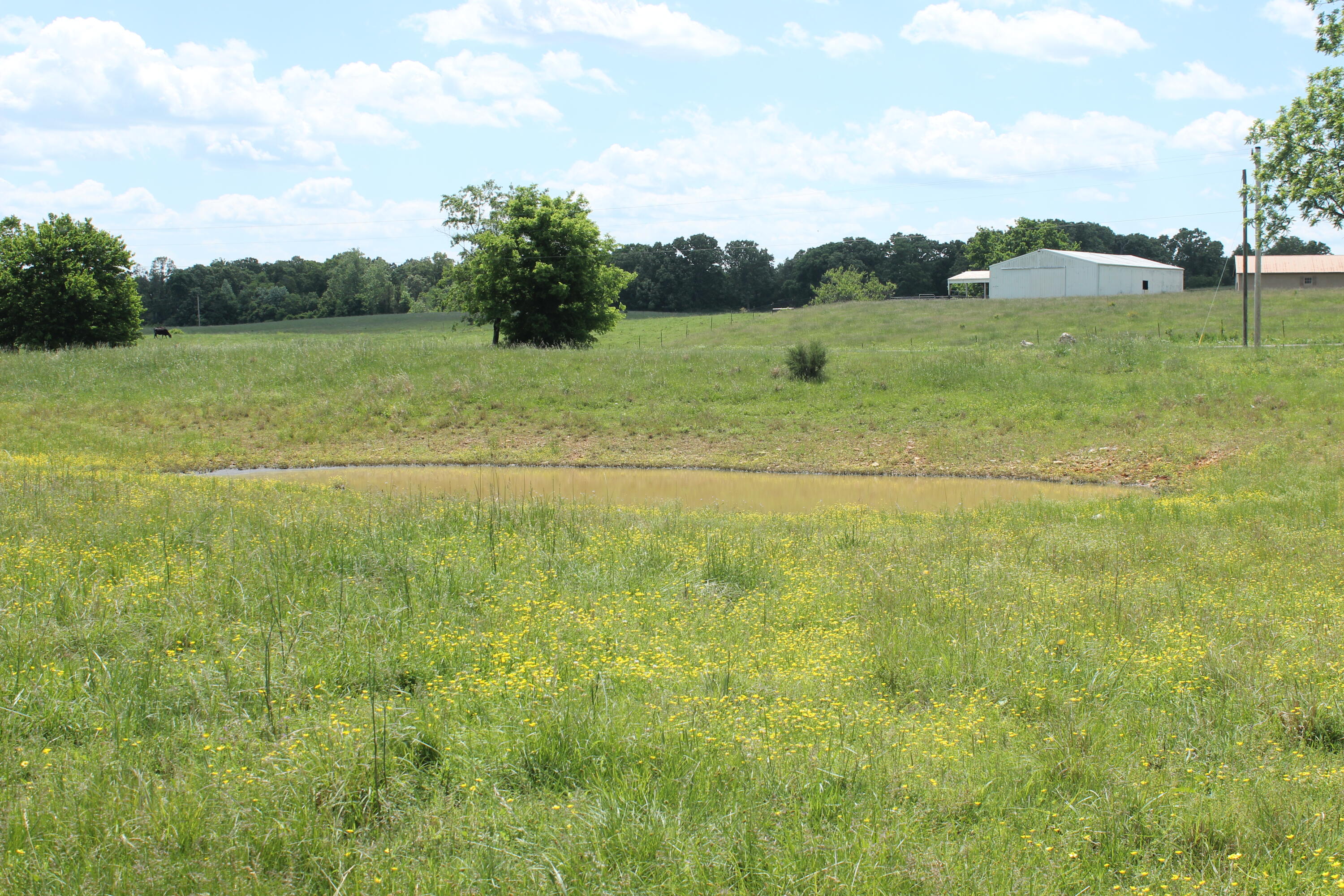 2231 W Highway Property Photo 39