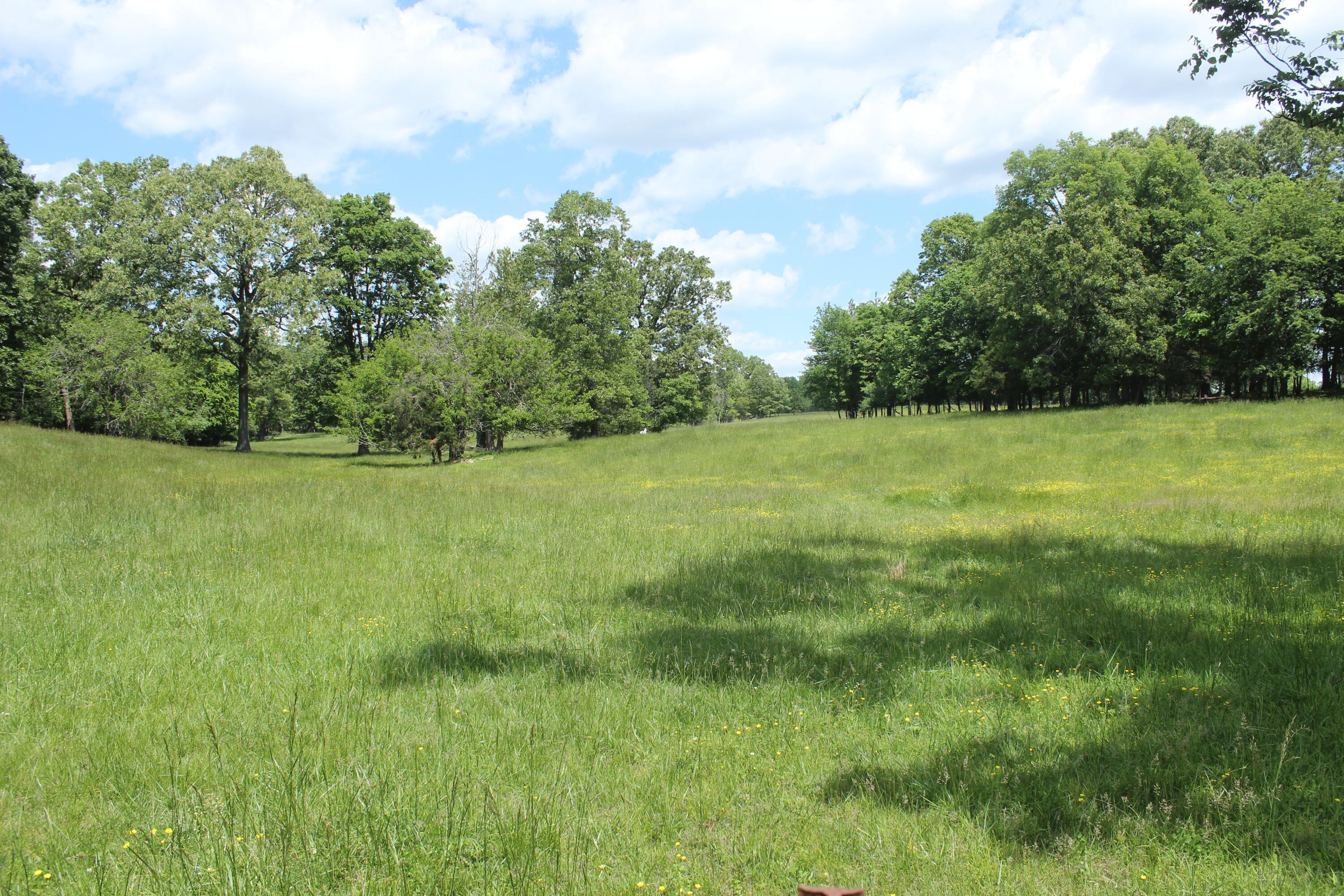2231 W Highway Property Photo 42