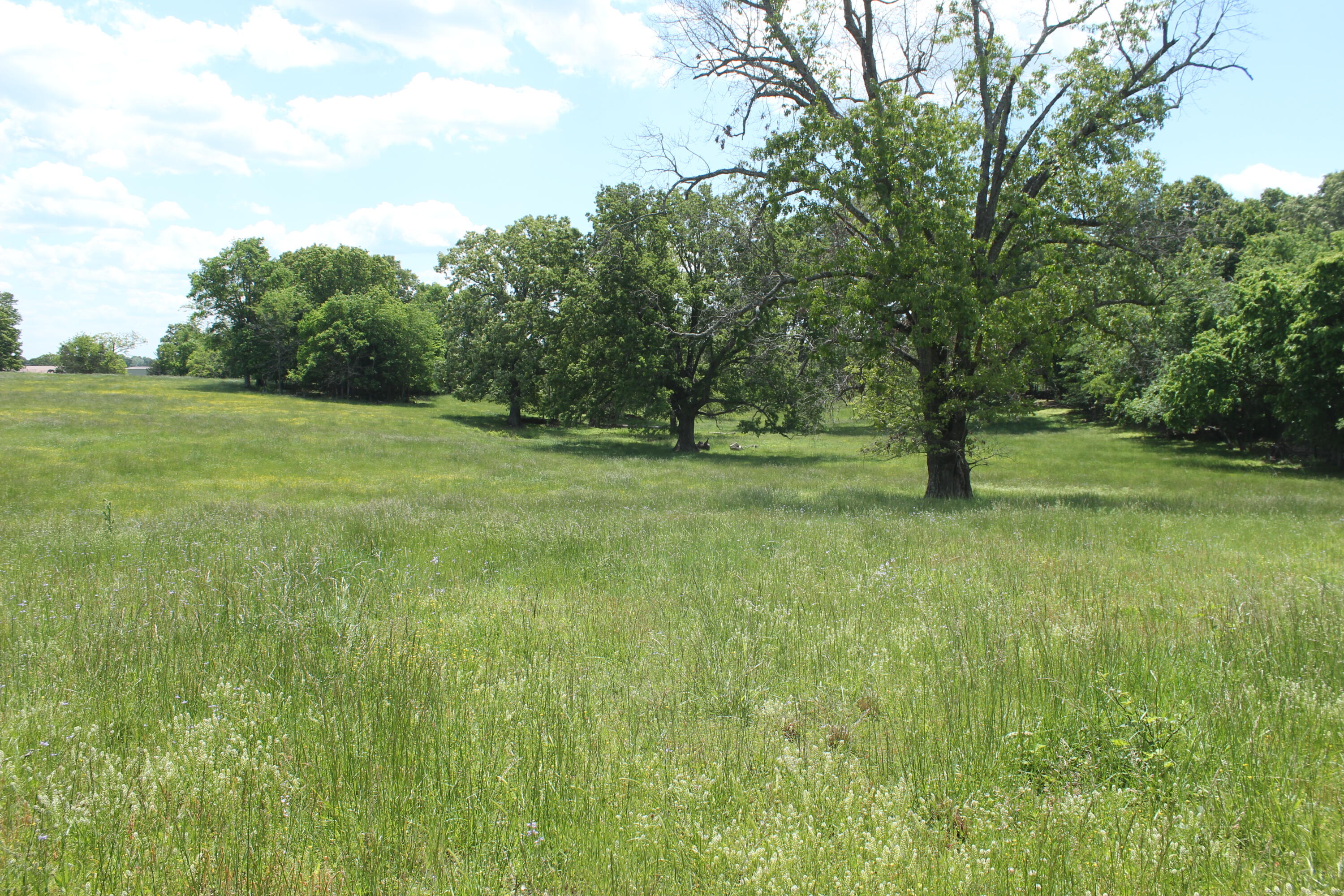 2231 W Highway Property Photo 45