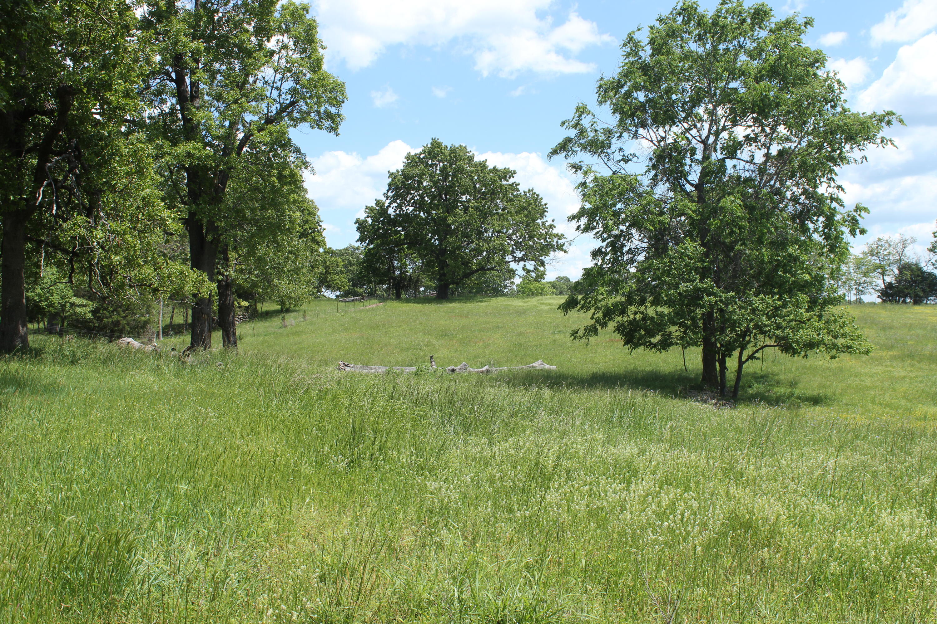 2231 W Highway Property Photo 47
