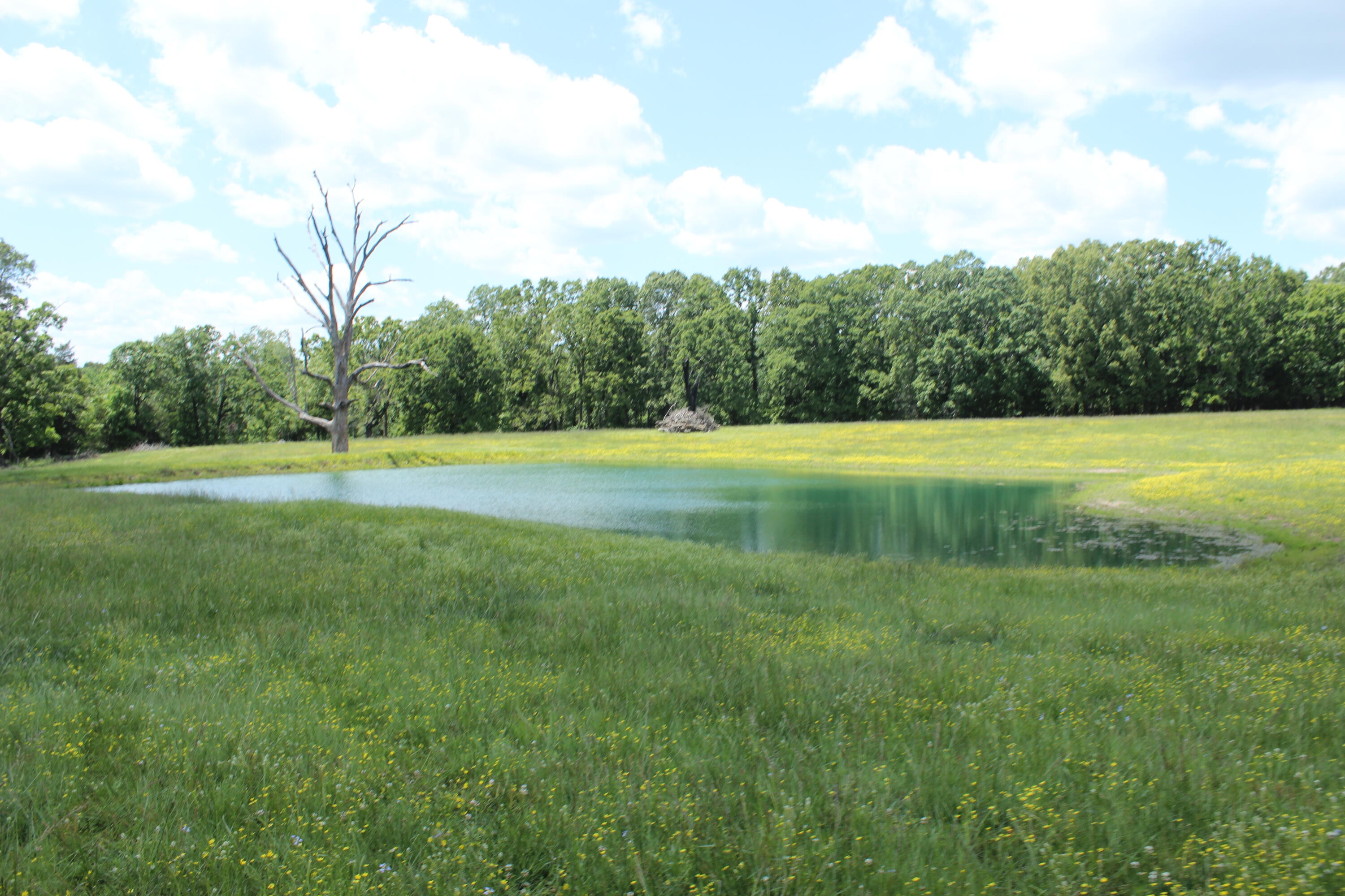 2231 W Highway Property Photo 50