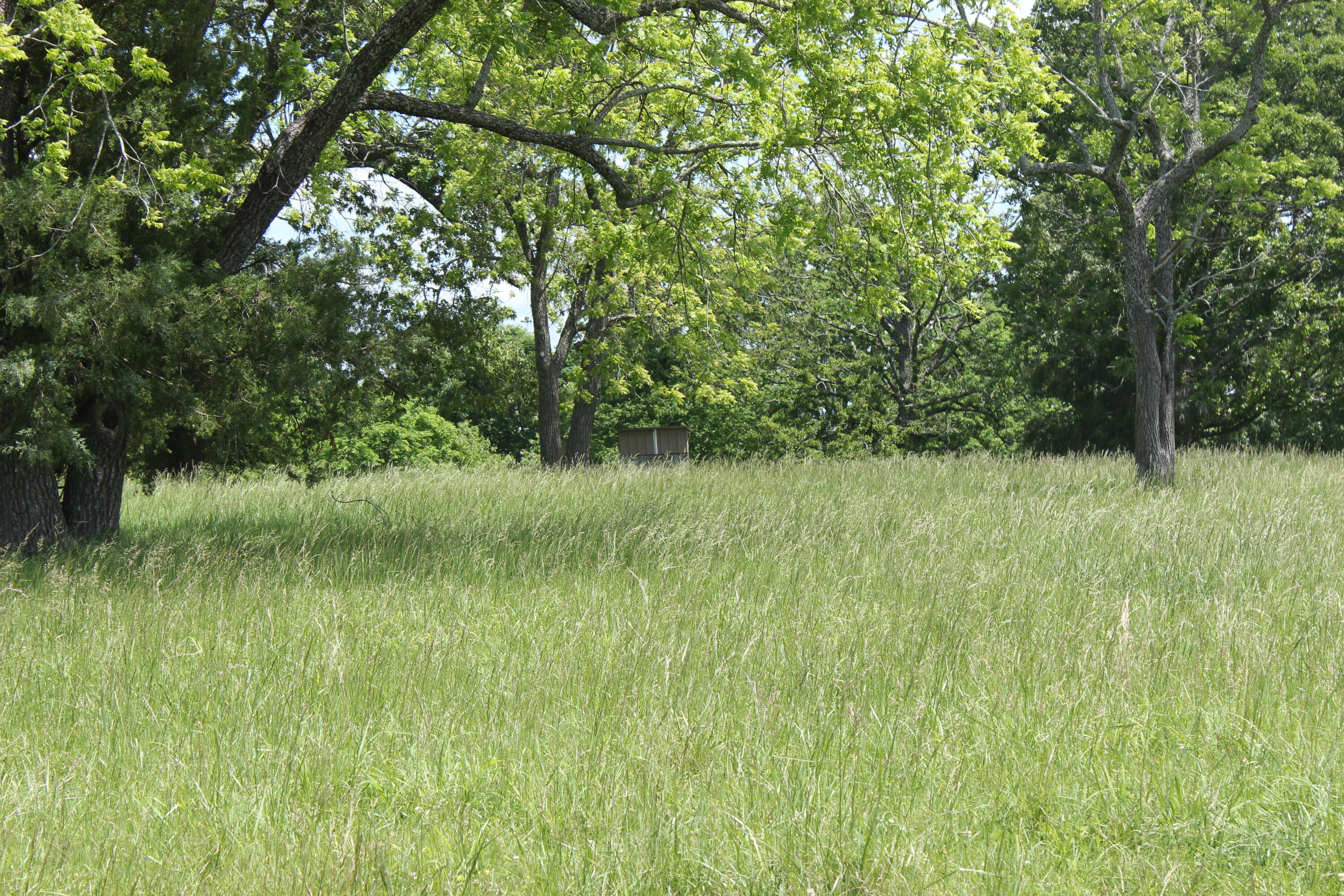 2231 W Highway Property Photo 52
