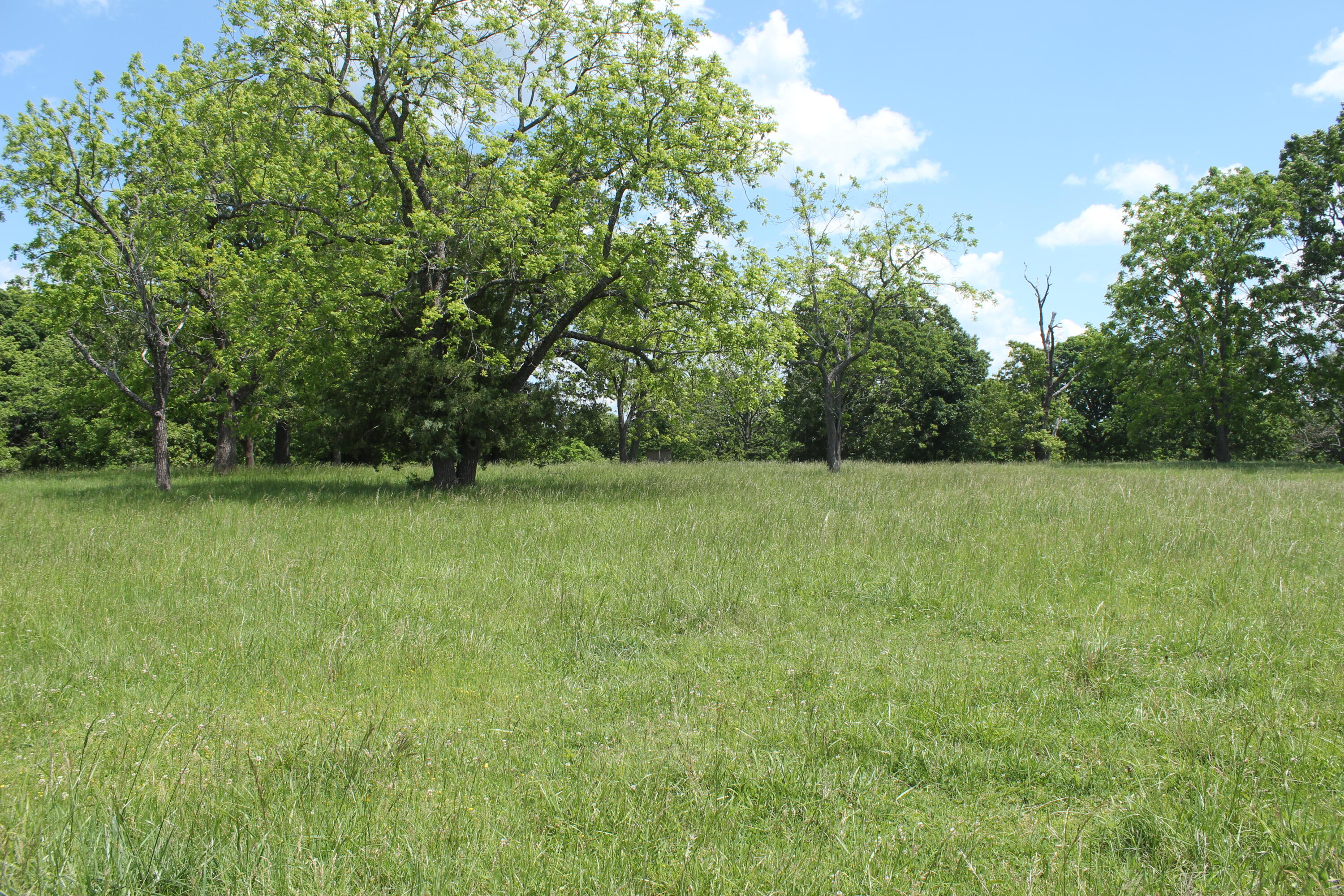2231 W Highway Property Photo 54