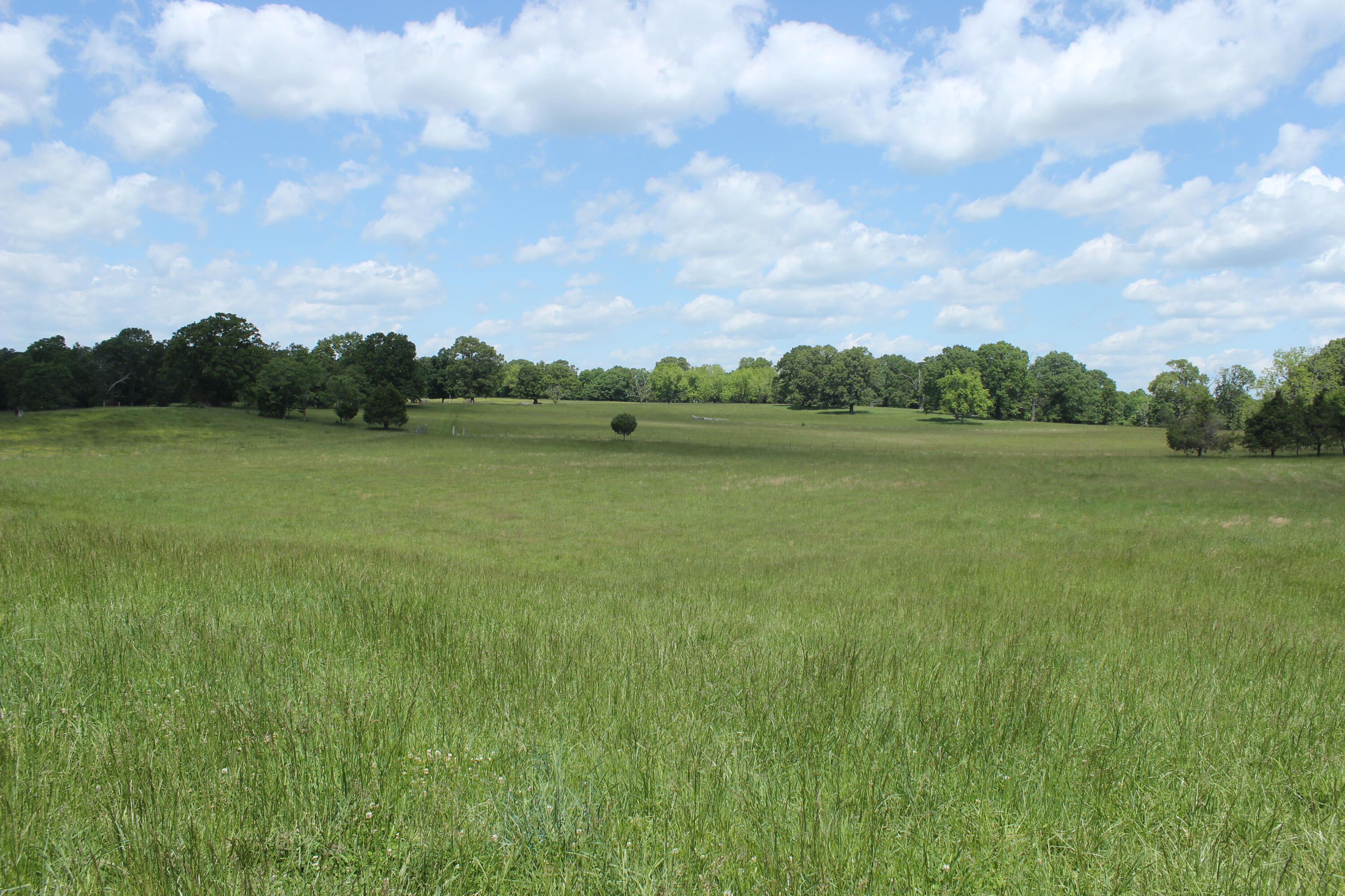 2231 W Highway Property Photo 57