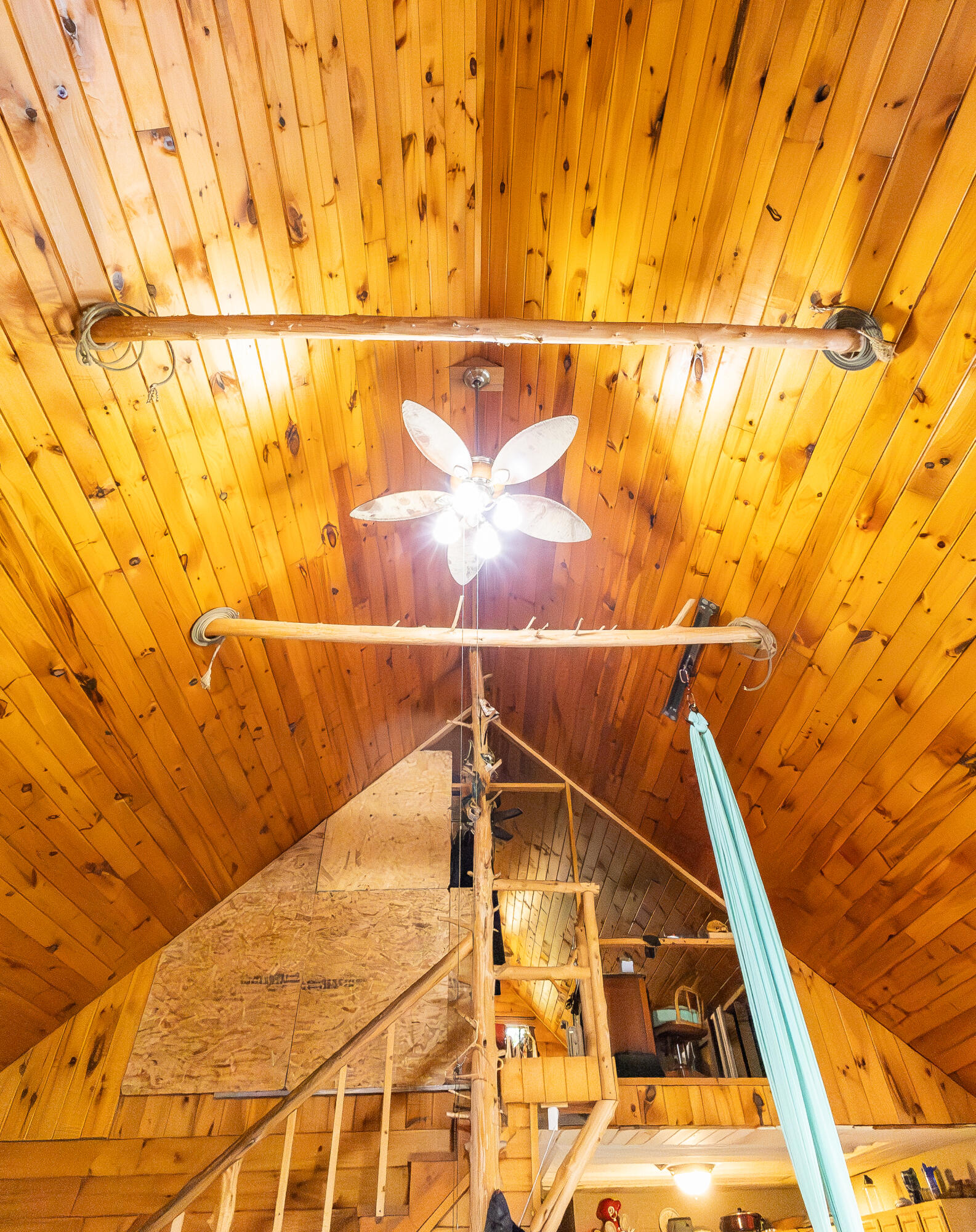 1223 Highway Pp Property Photo 19