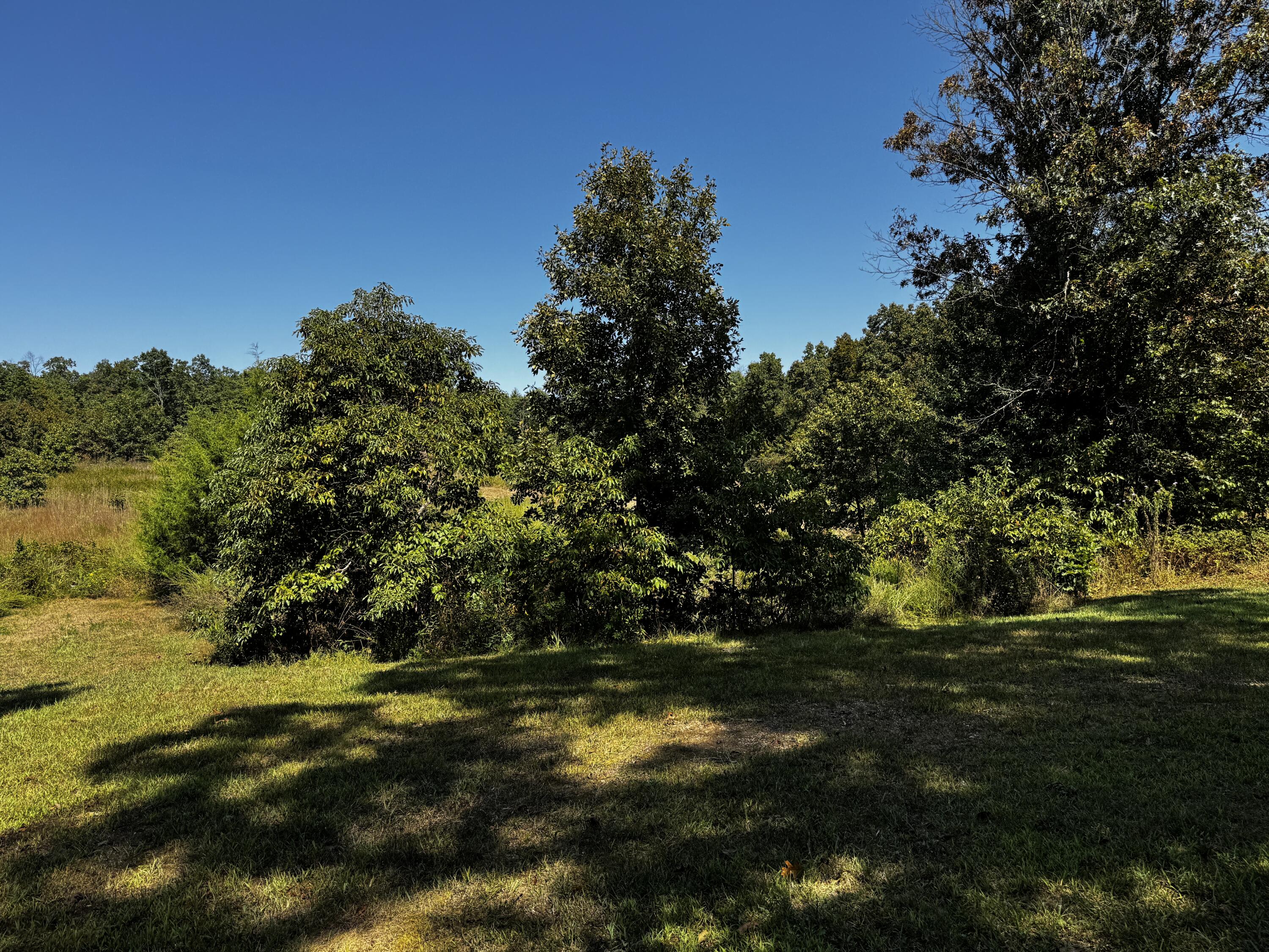 6190 State Route Uu Property Photo 33