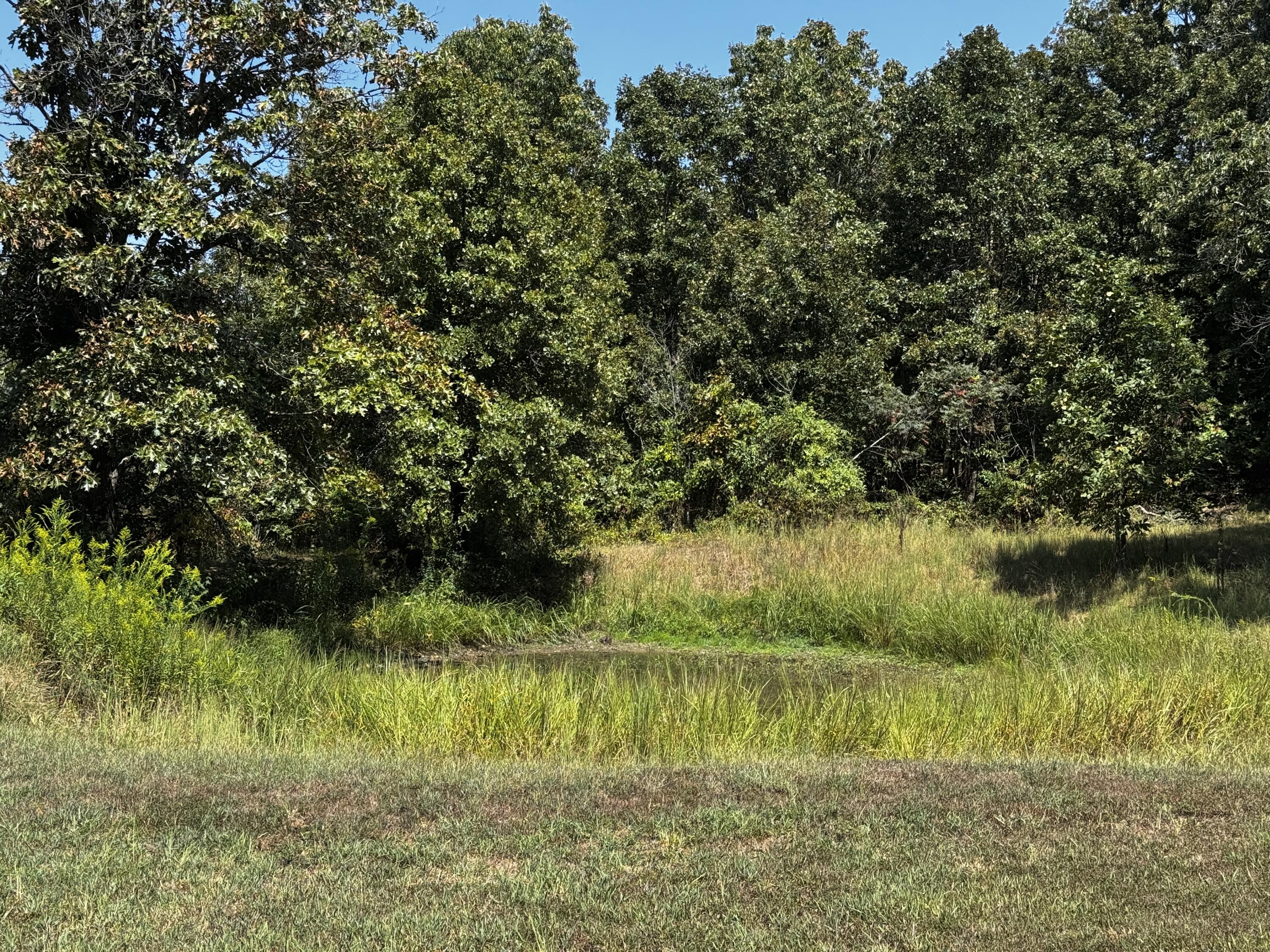 6190 State Route Uu Property Photo 38