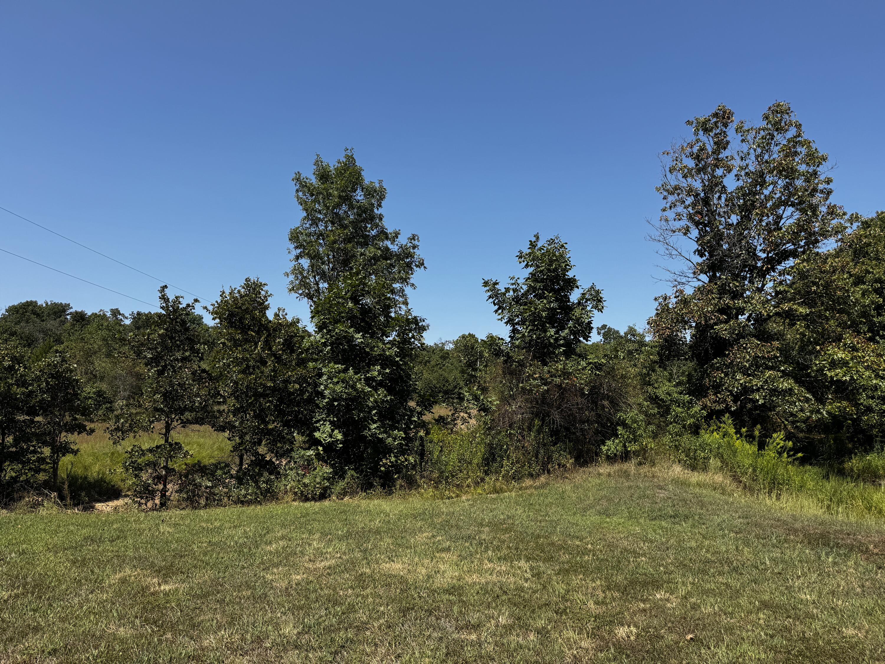 6190 State Route Uu Property Photo 43