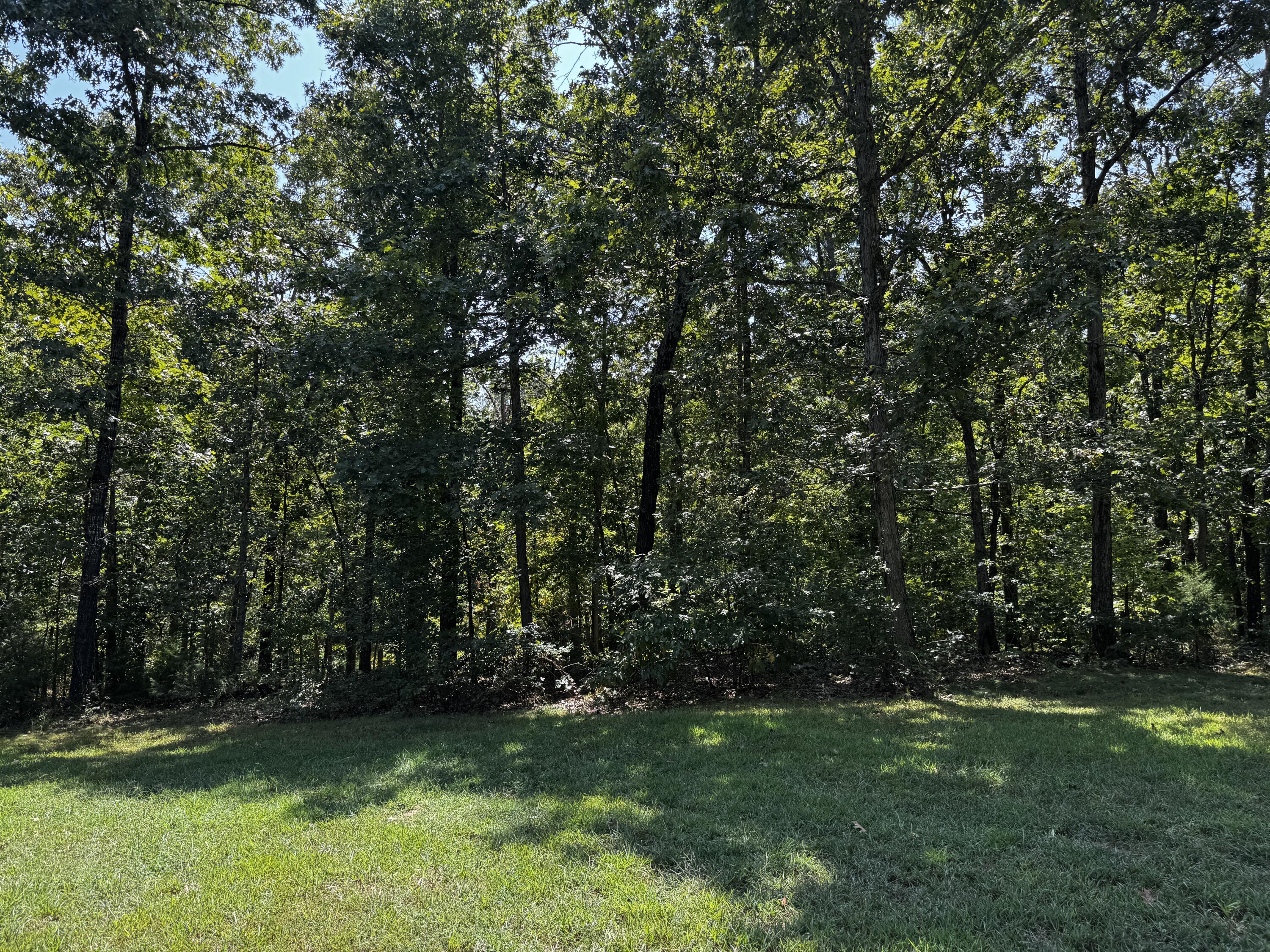 6190 State Route Uu Property Photo 46