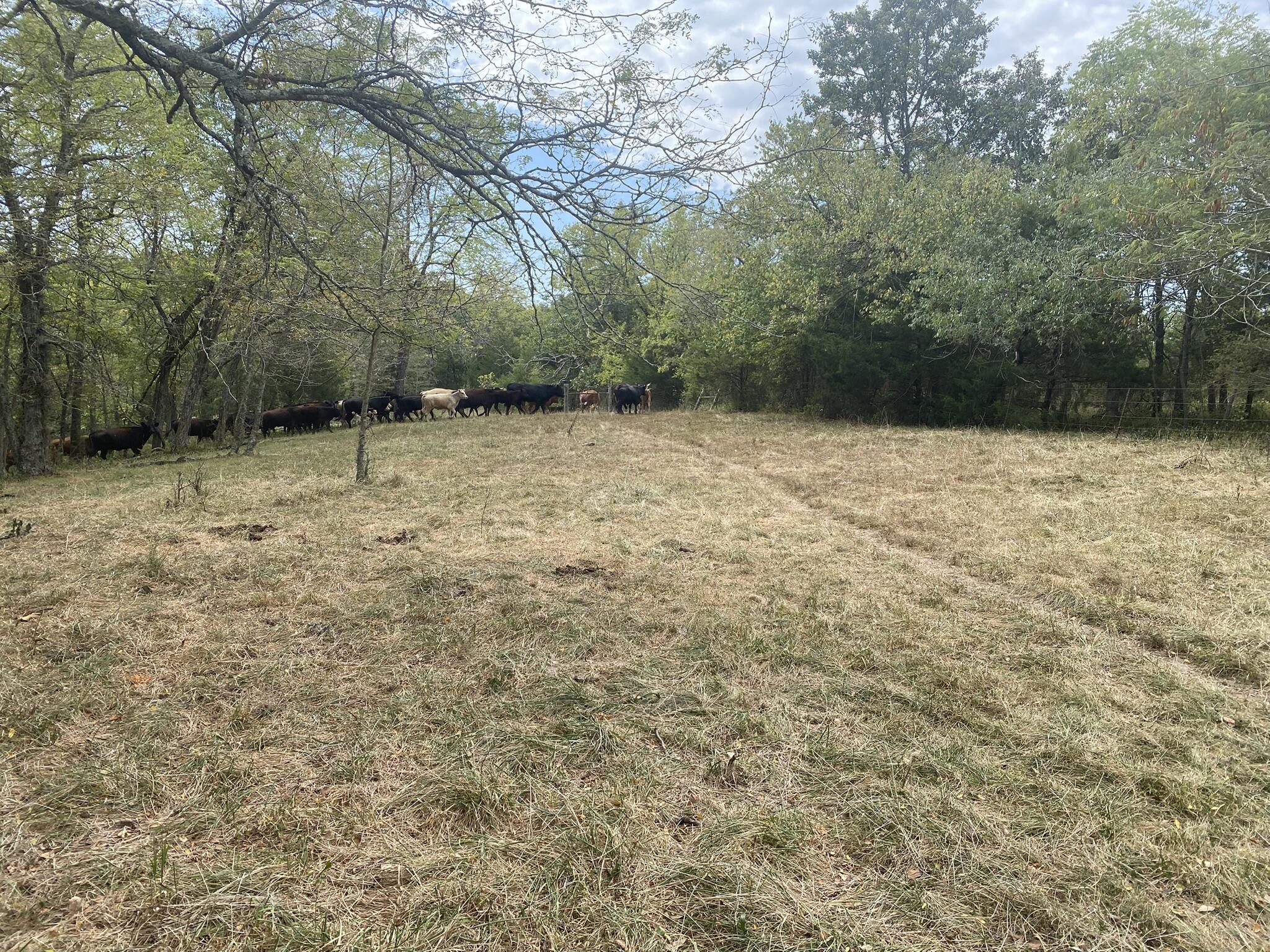 10232 County Road 211-east 76 Property Photo 7