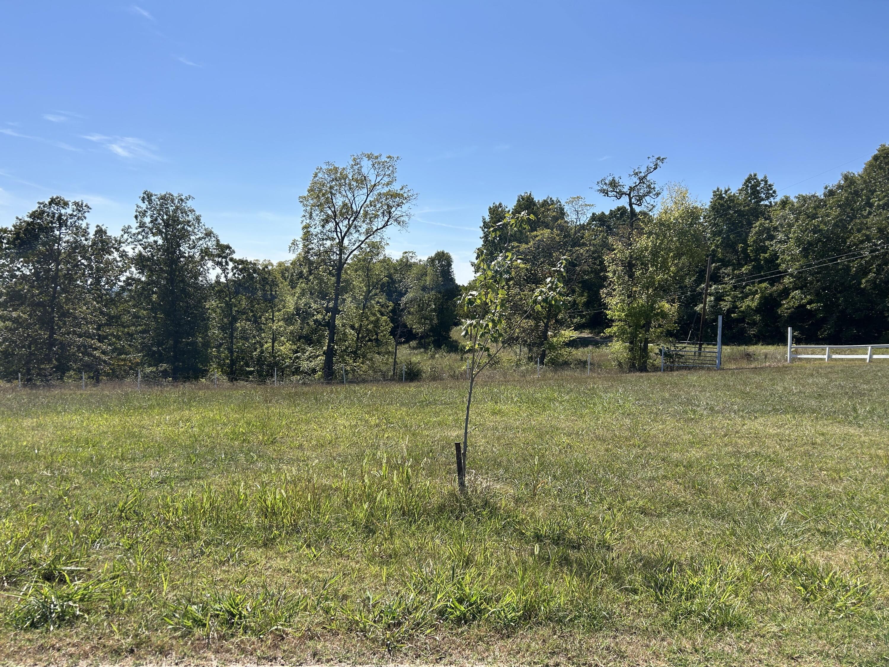 22017 East State Highway 76 Property Photo 42