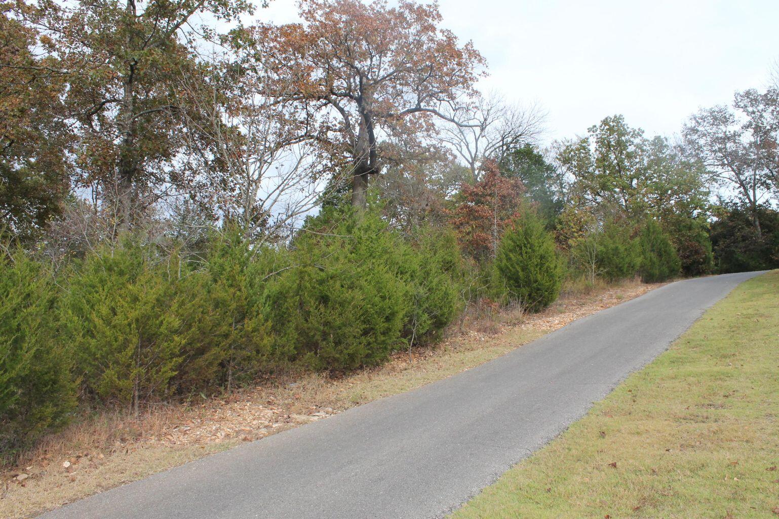 415 Silverwood Circle Property Photo 2