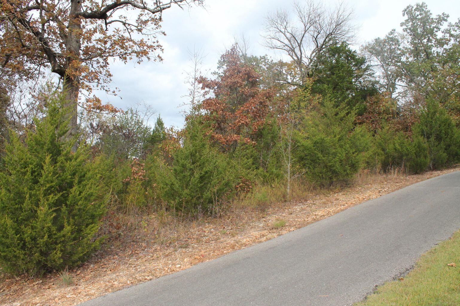 415 Silverwood Circle Property Photo 4