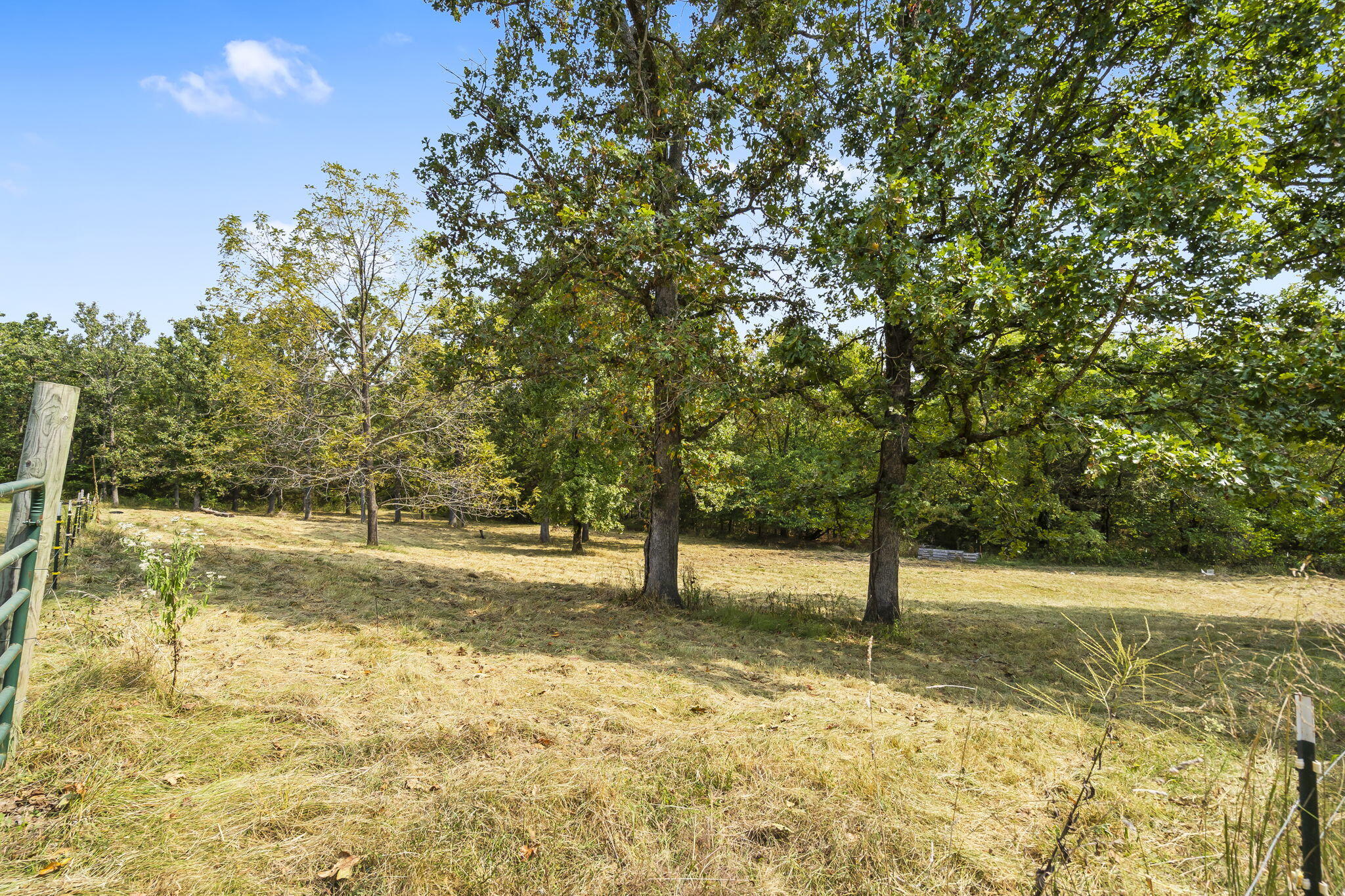 379 Lakewood Loop Property Photo 37