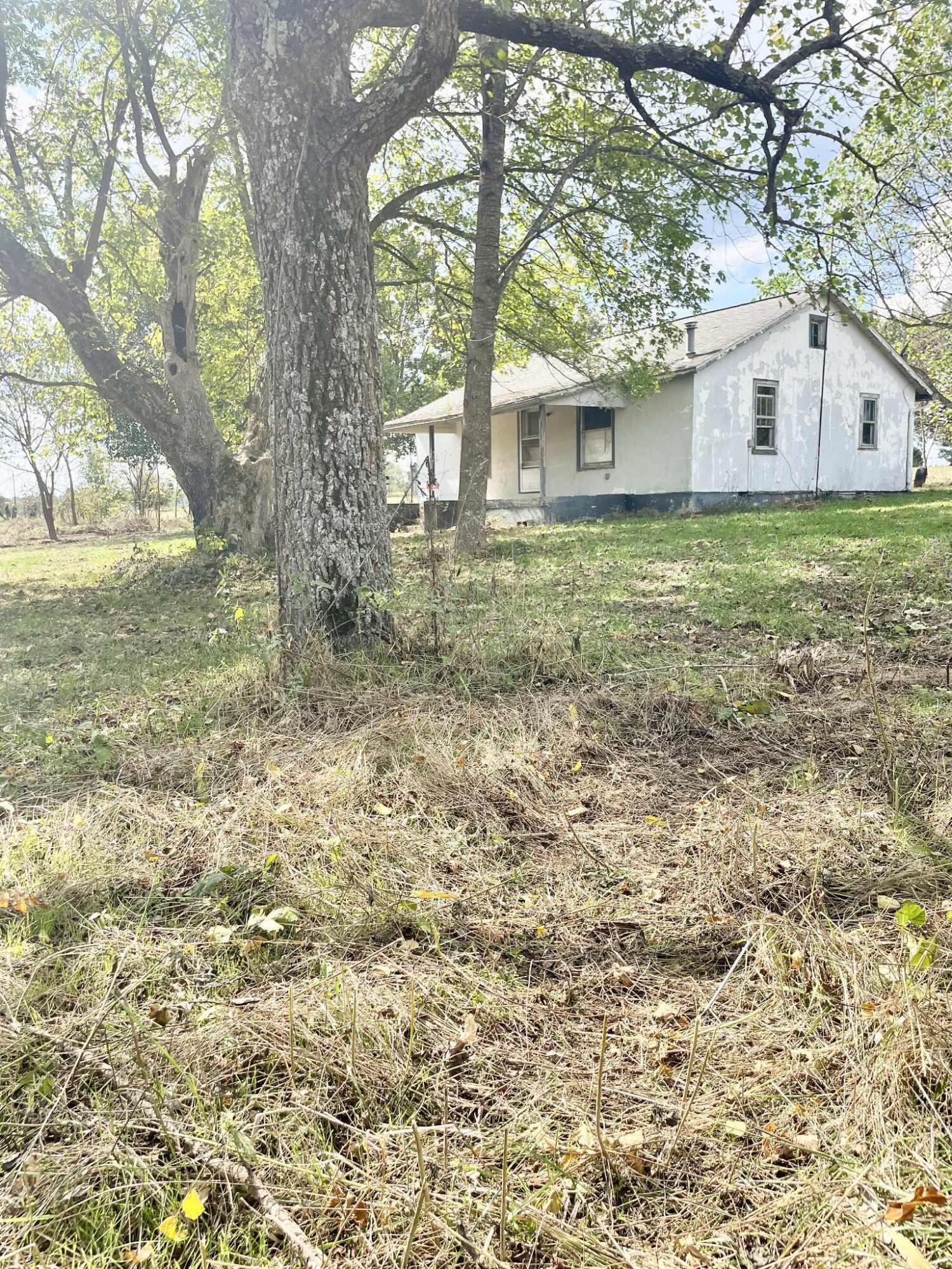 8825 Loring Rd Property Photo 4