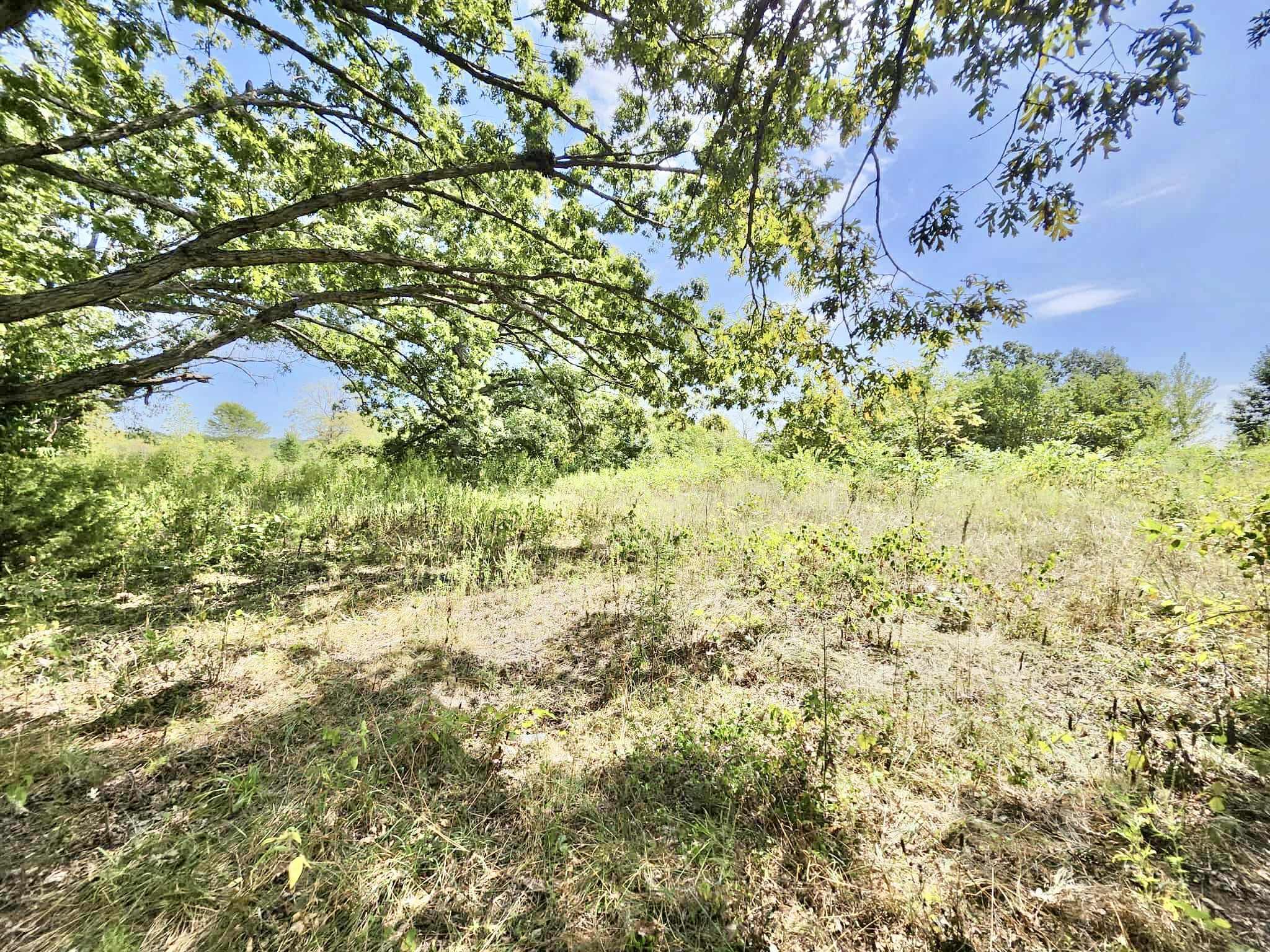 8825 Loring Rd Property Photo 14