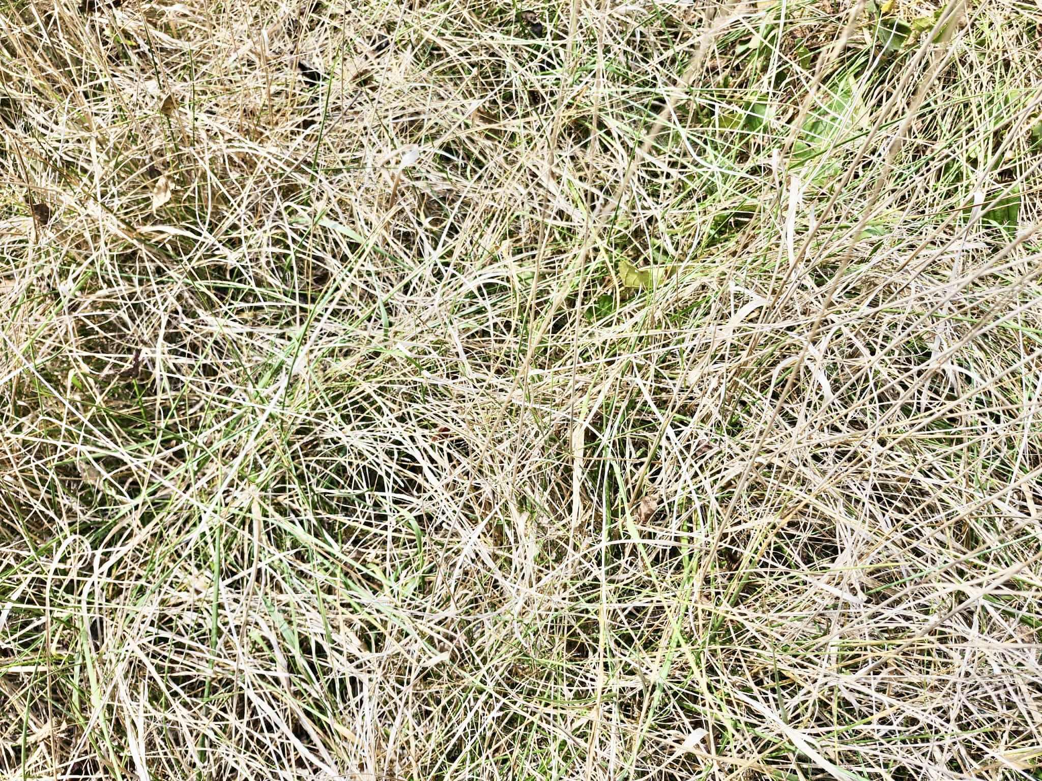 8825 Loring Rd Property Photo 16