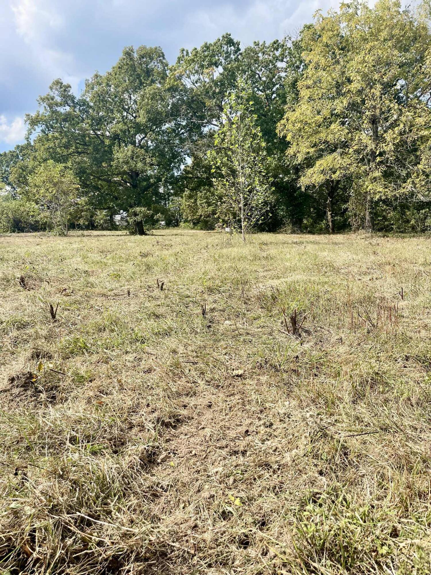 8825 Loring Rd Property Photo 17