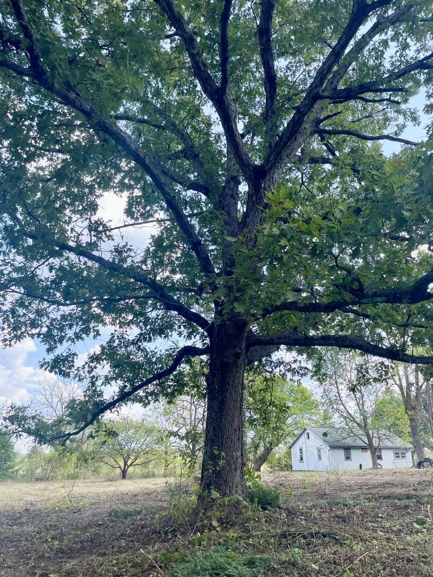 8825 Loring Rd Property Photo 18