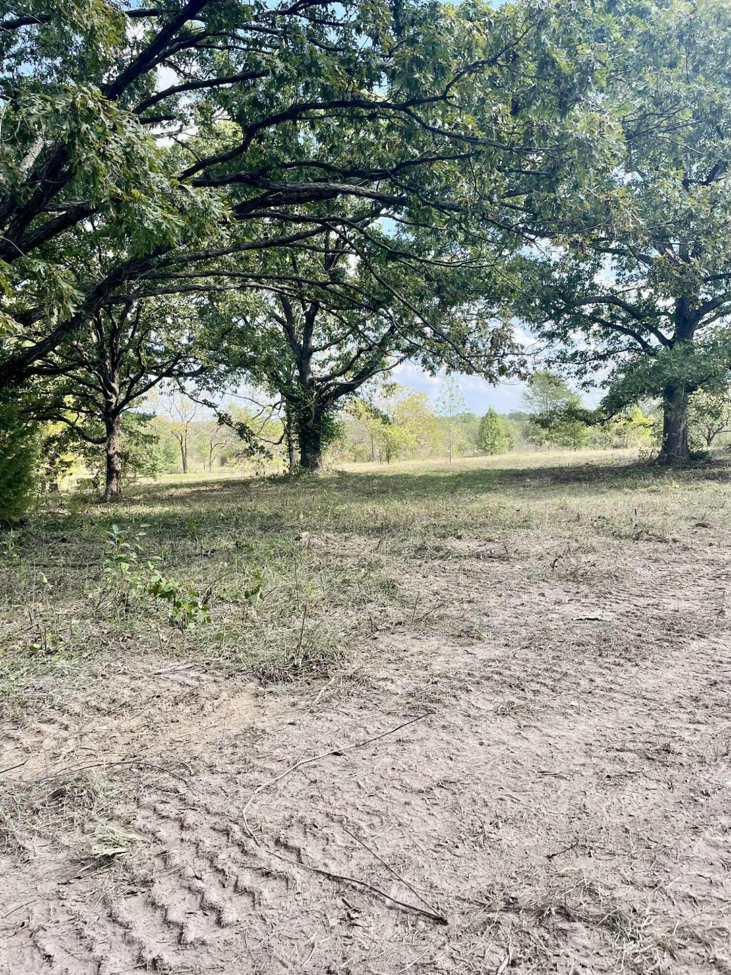 8825 Loring Rd Property Photo 19