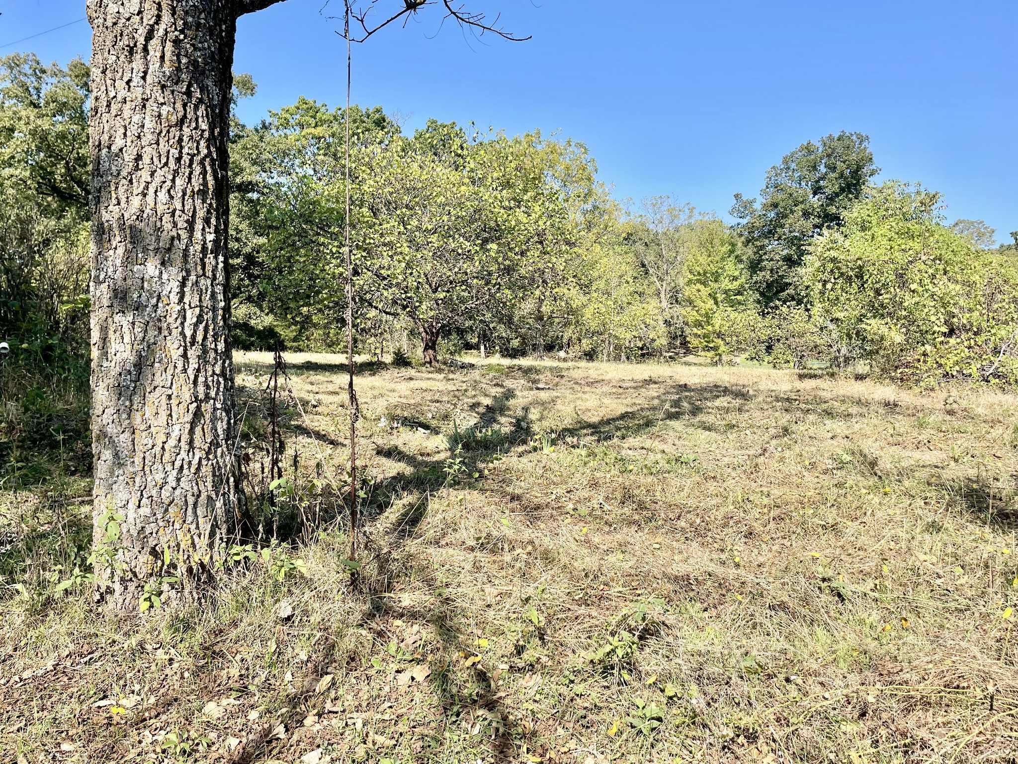 8825 Loring Rd Property Photo 22