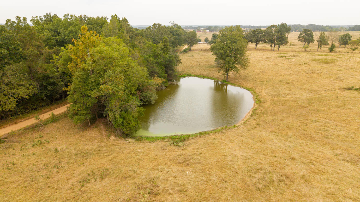1350 County Road 405 Property Photo 35