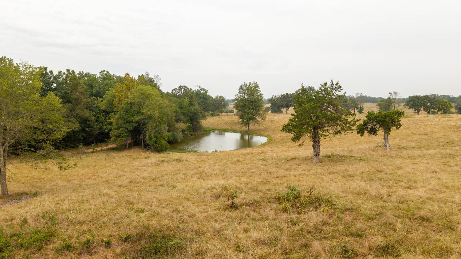 1350 County Road 405 Property Photo 41