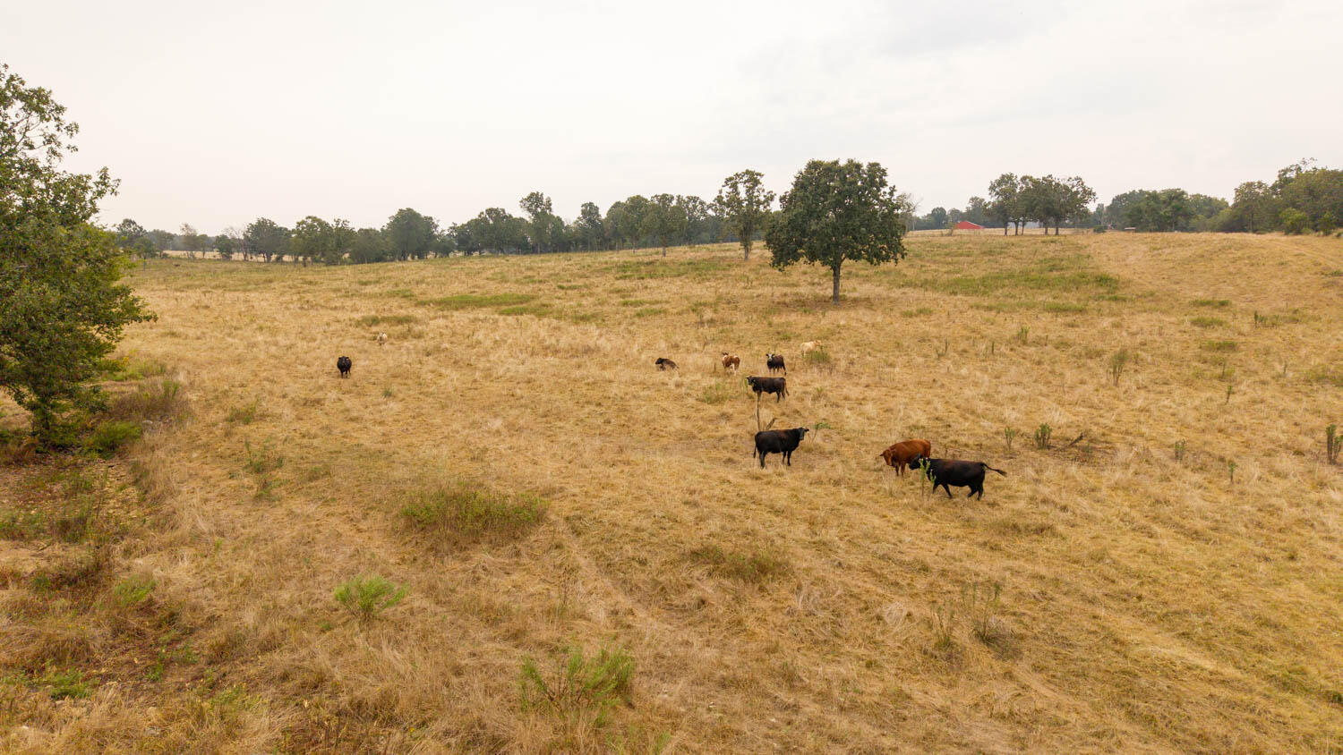 1350 County Road 405 Property Photo 43