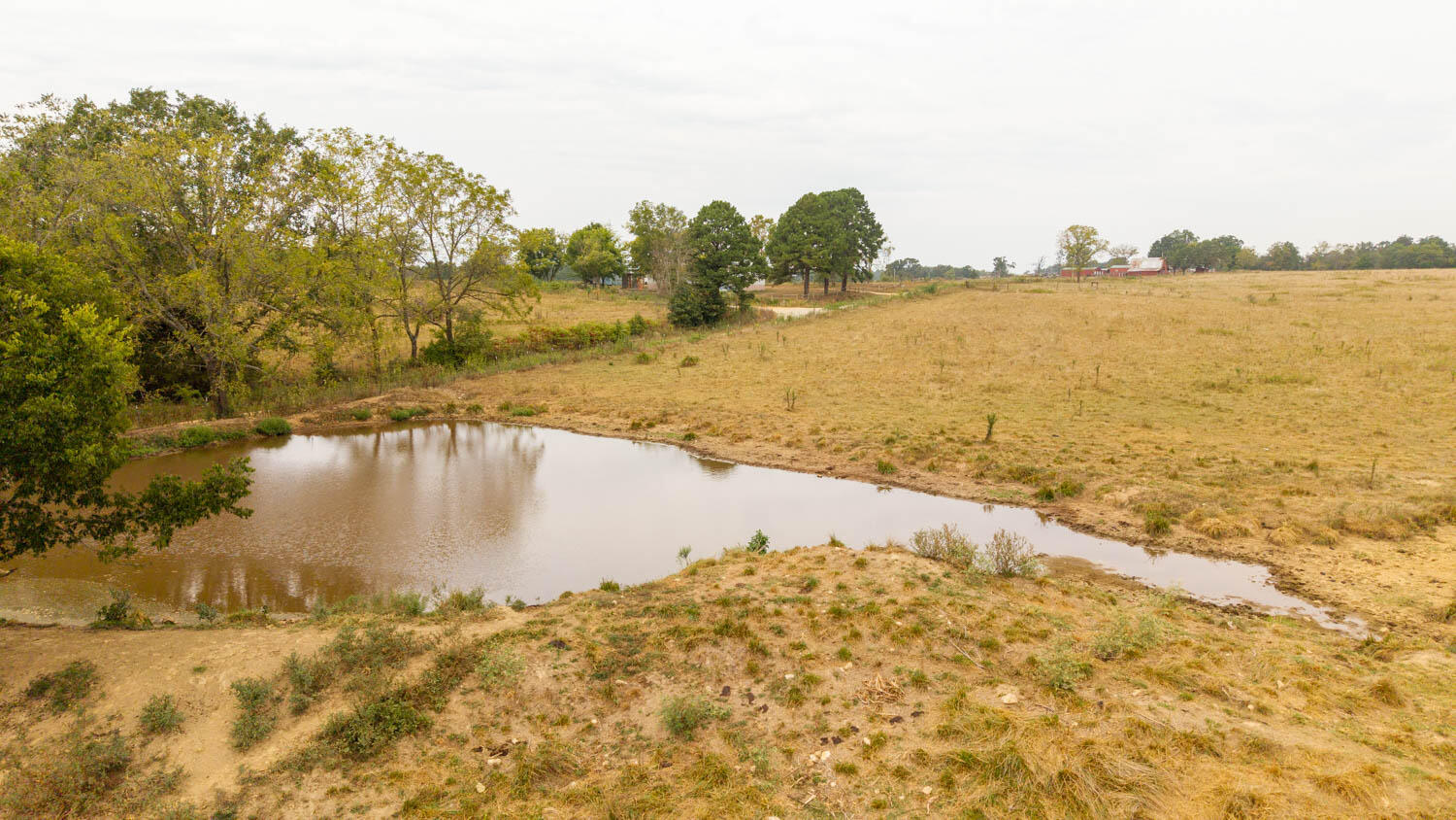 1350 County Road 405 Property Photo 44