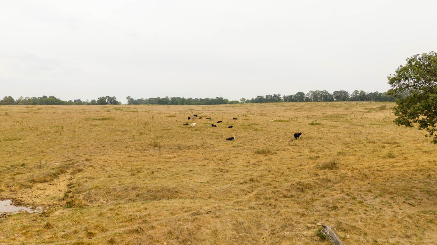 1350 County Road 405 Property Photo 45