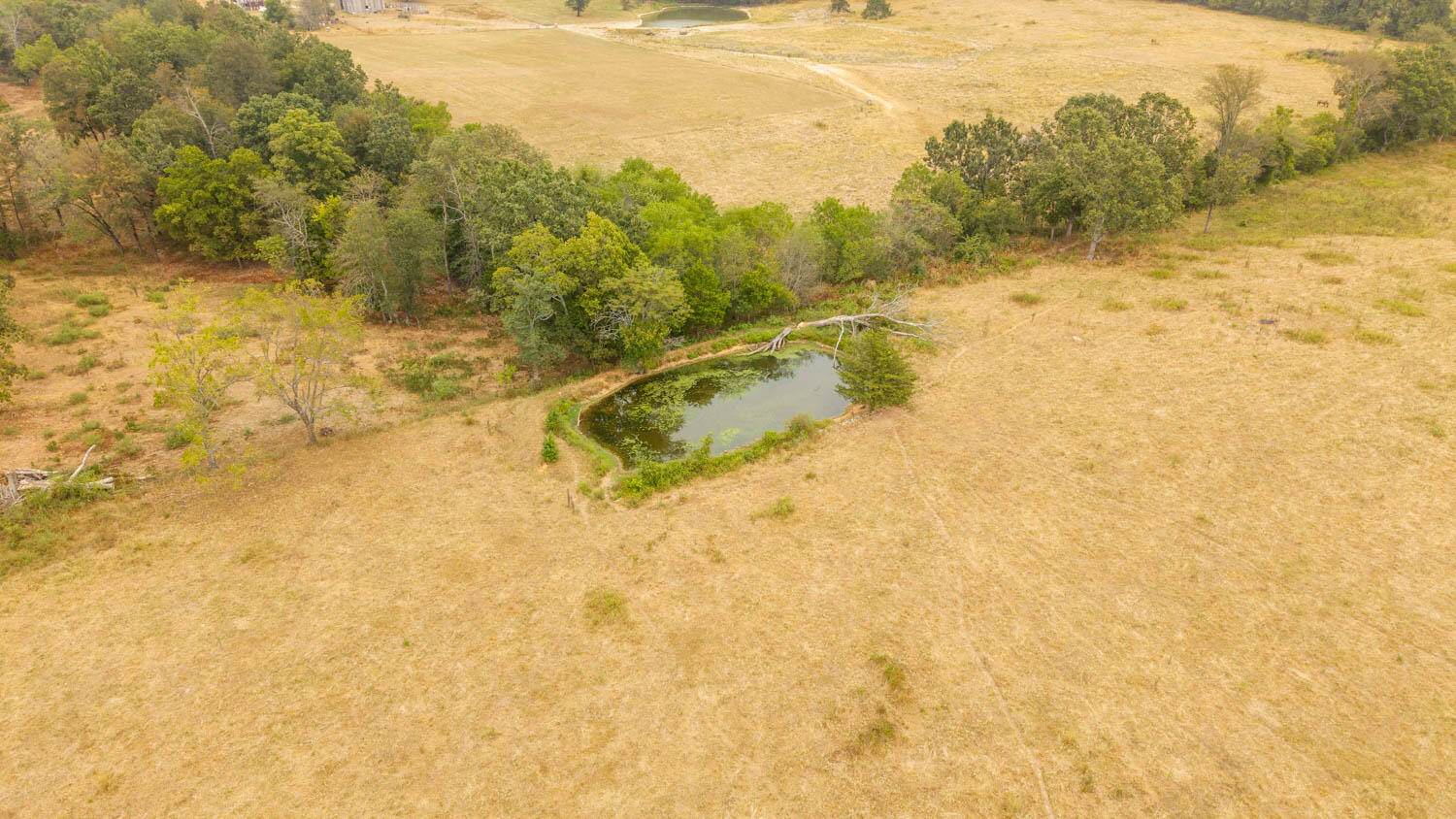 1350 County Road 405 Property Photo 46