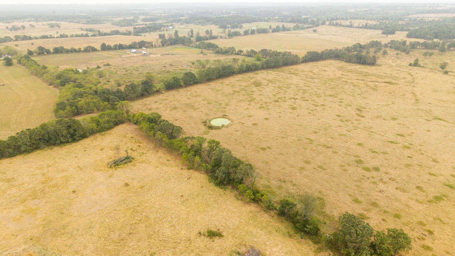 1350 County Road 405 Property Photo 48