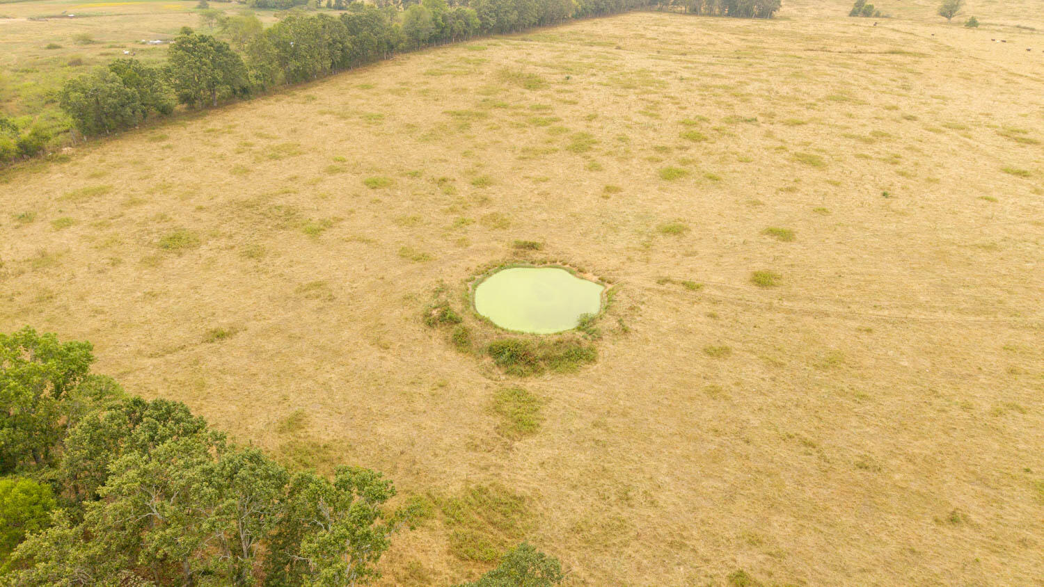 1350 County Road 405 Property Photo 49